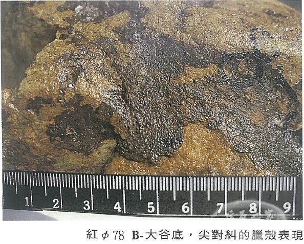 QQ截图20160316124625.jpg