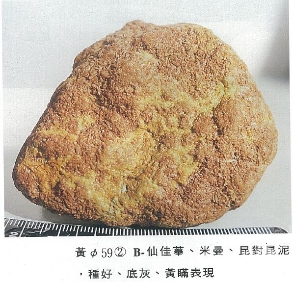 QQ截图20160316190501.jpg