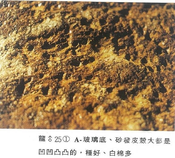 QQ截图20160316191314.jpg