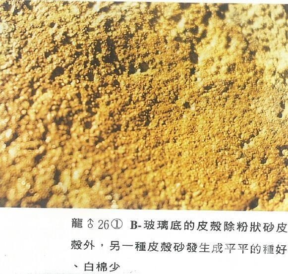 QQ截图20160316191323.jpg