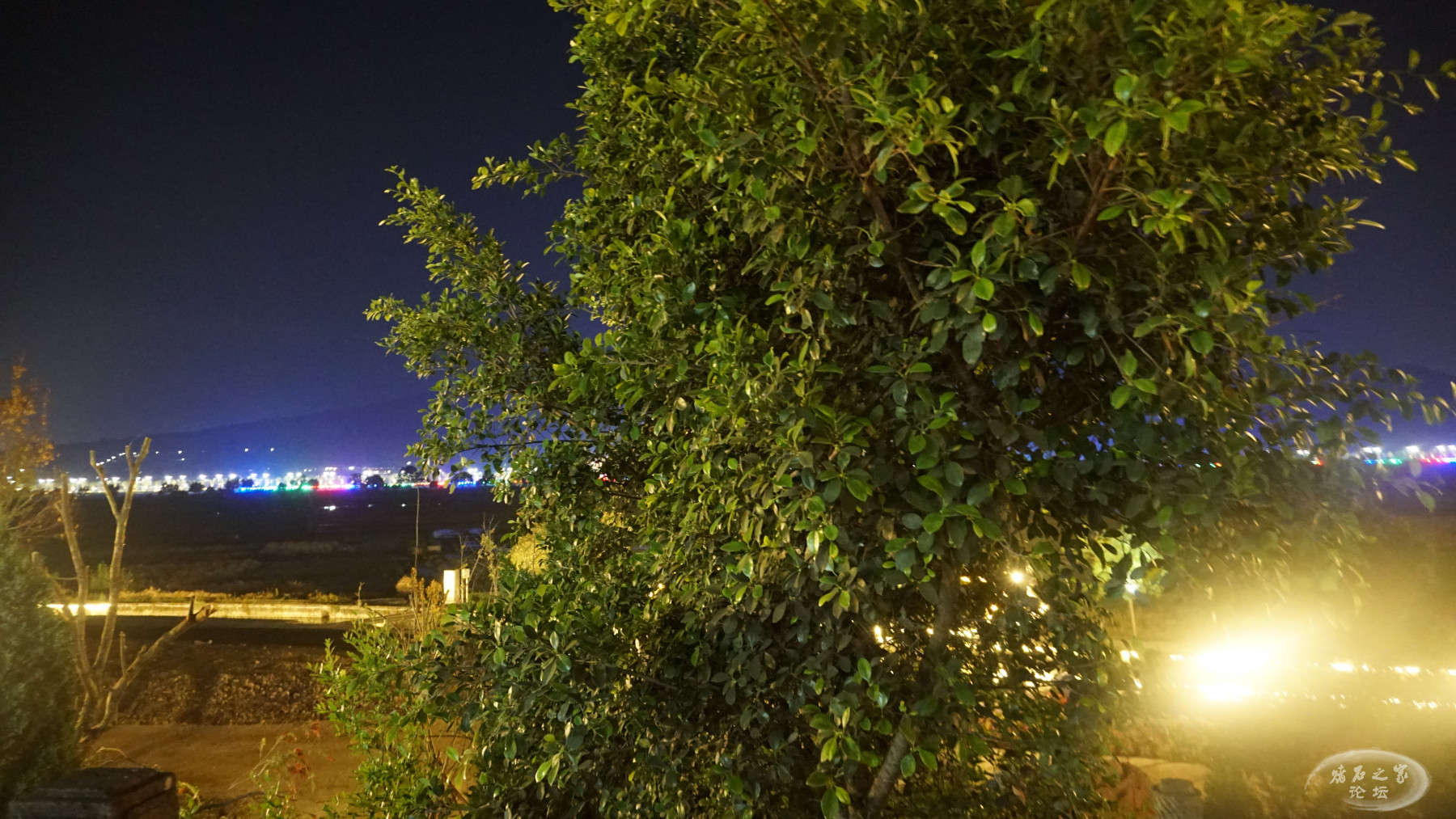DSC00080.JPG