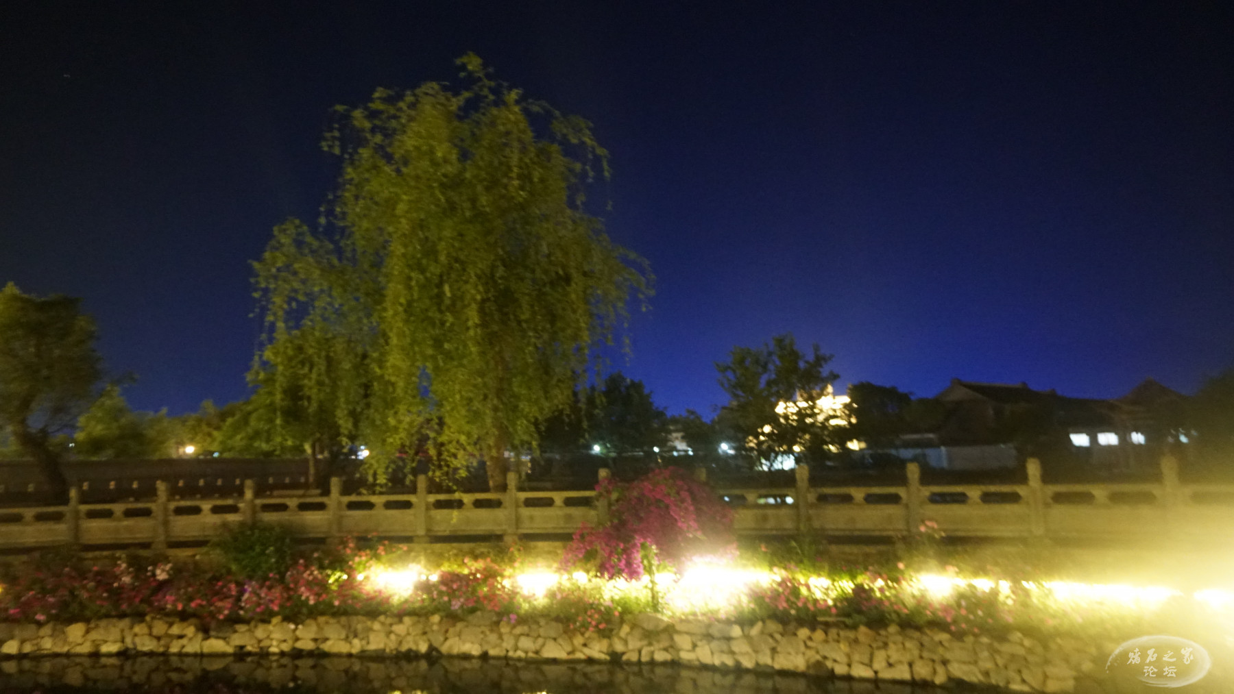 DSC00150.JPG