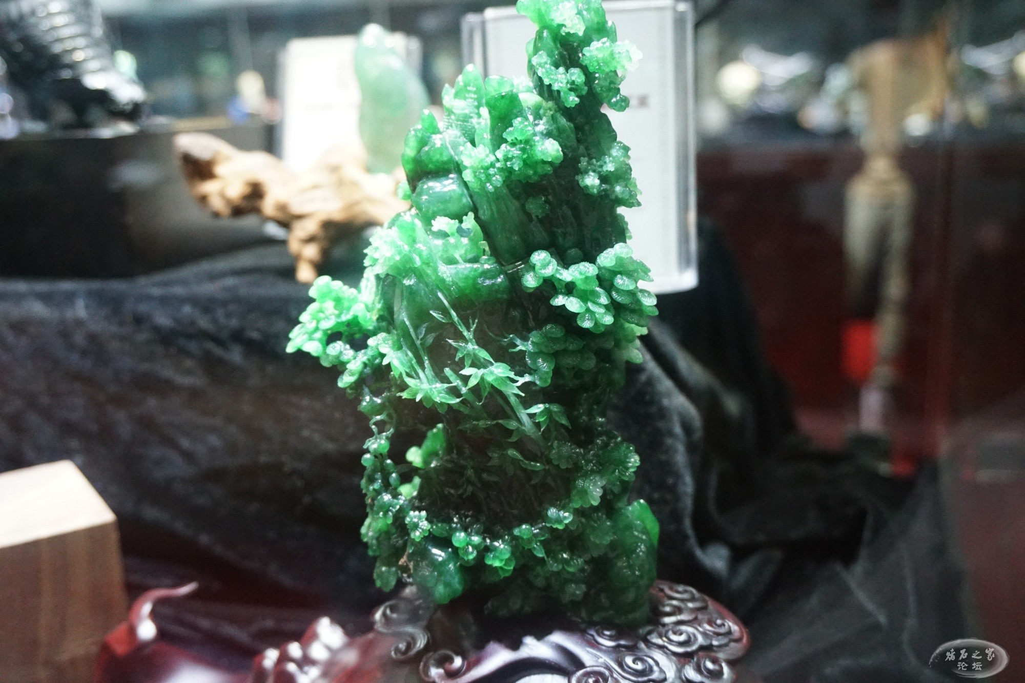 DSC01535.JPG