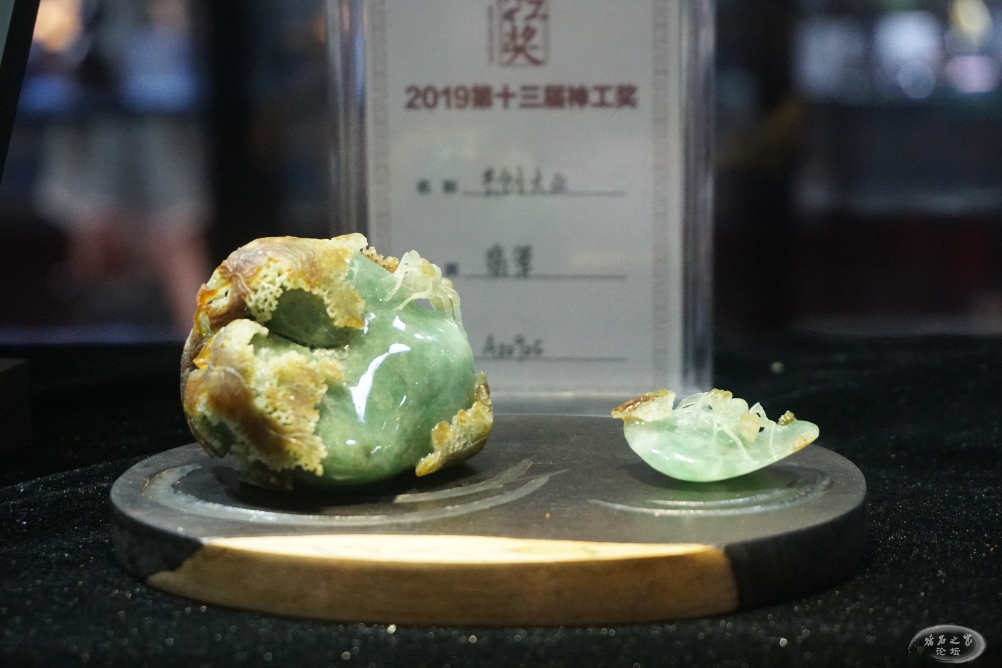 DSC01614.JPG