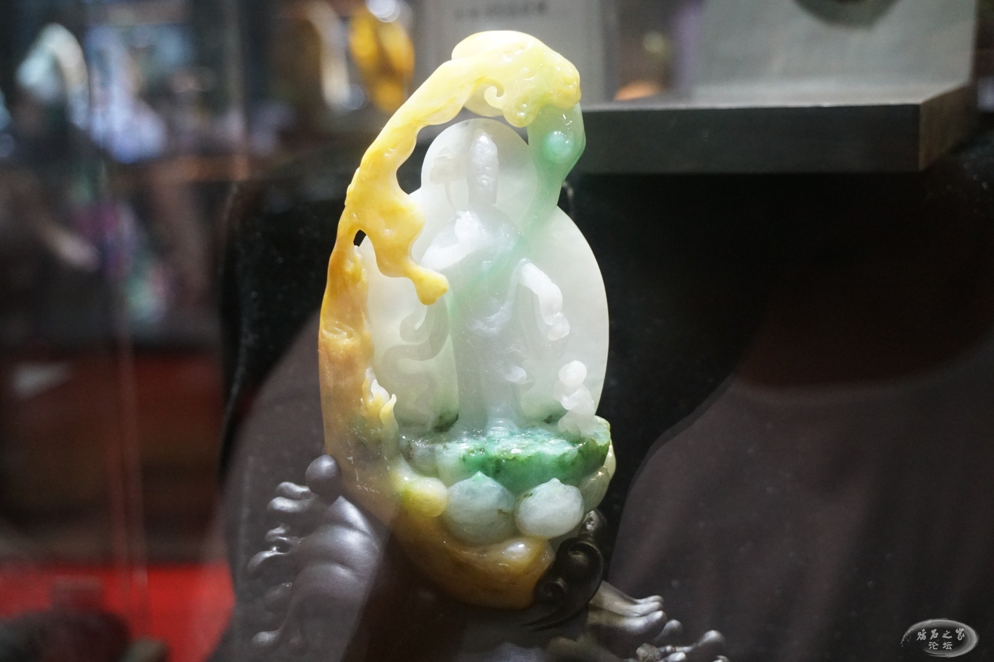 DSC01618.JPG