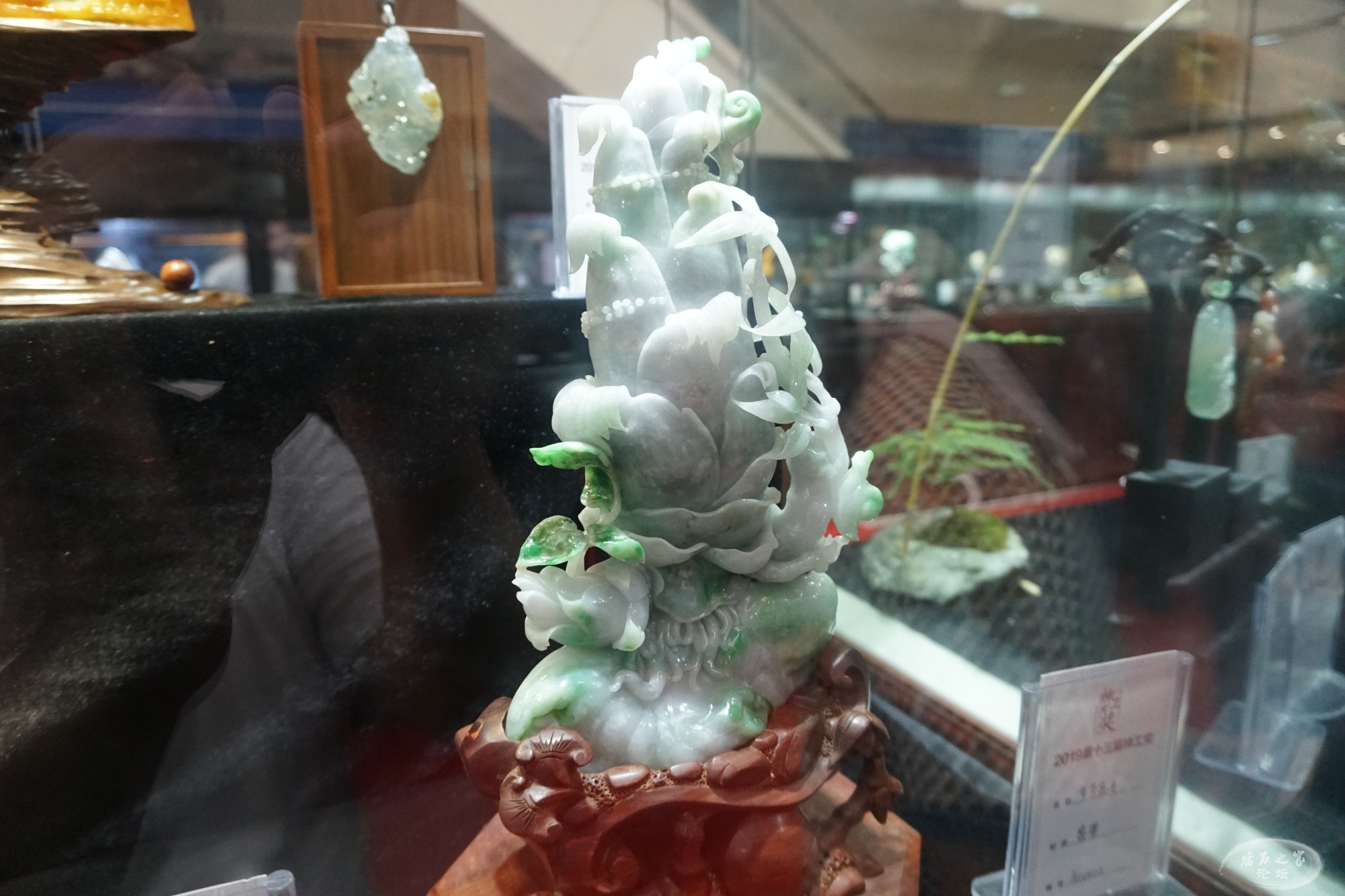 DSC01638.JPG