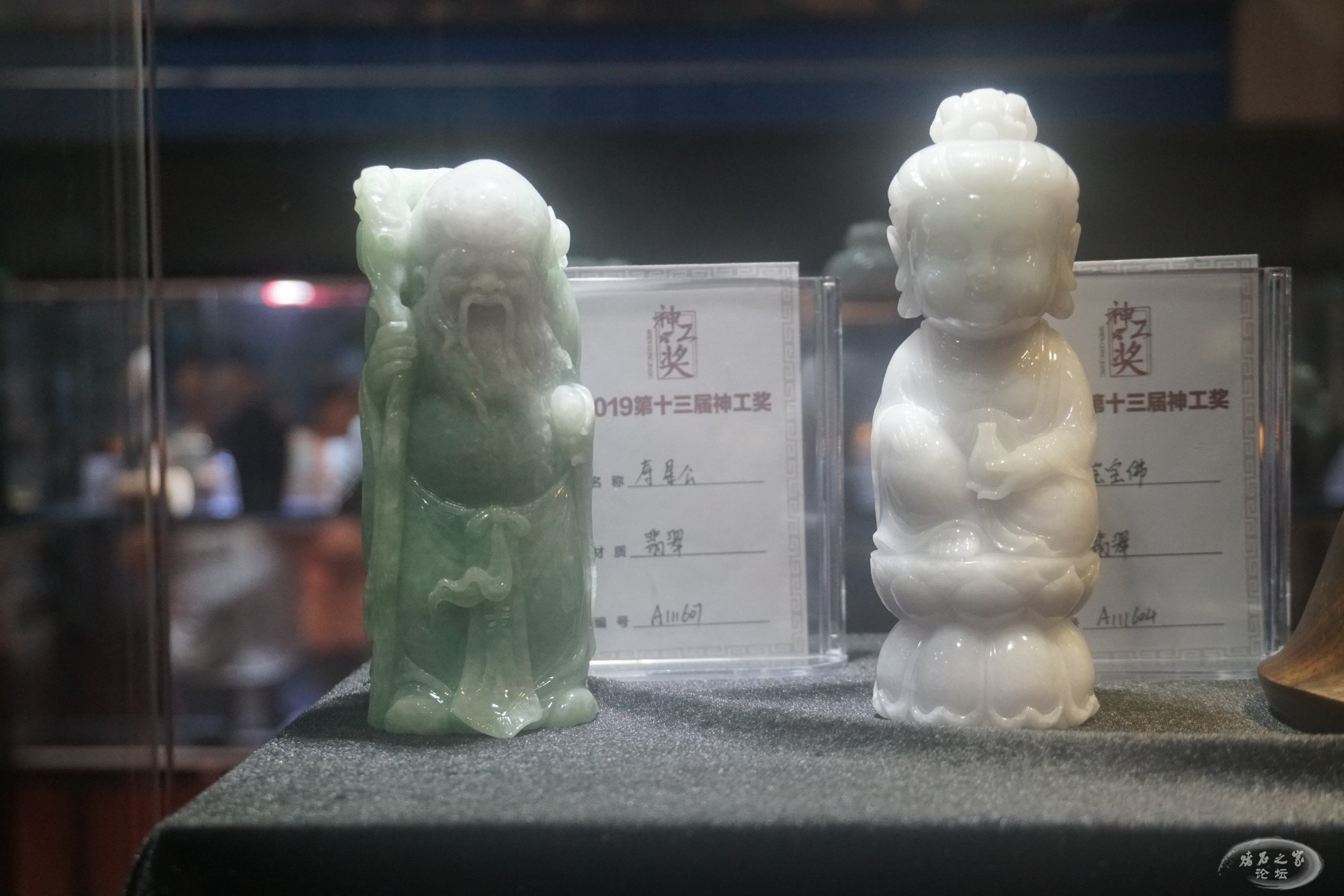 DSC01660.JPG
