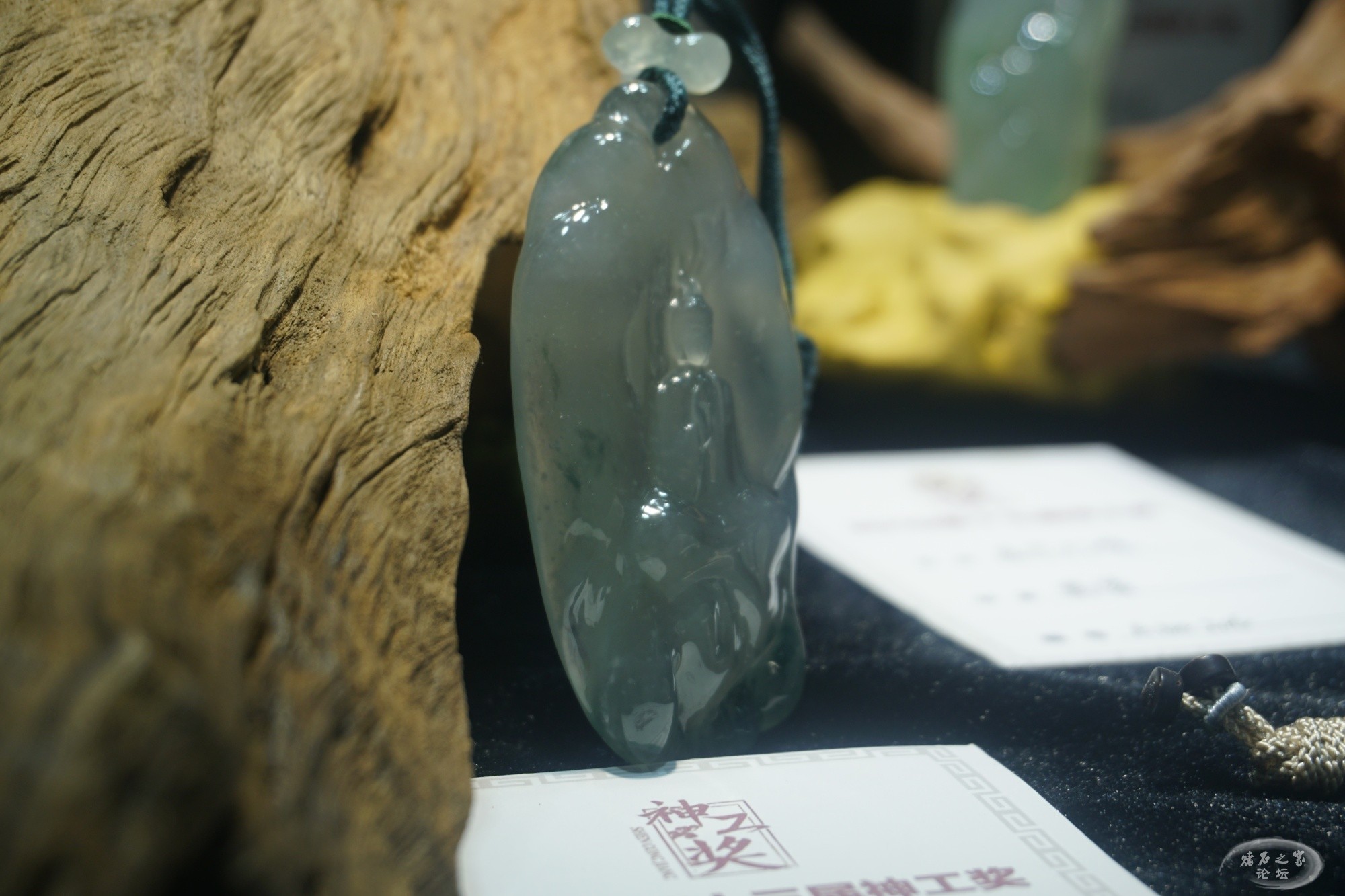 DSC01916.JPG
