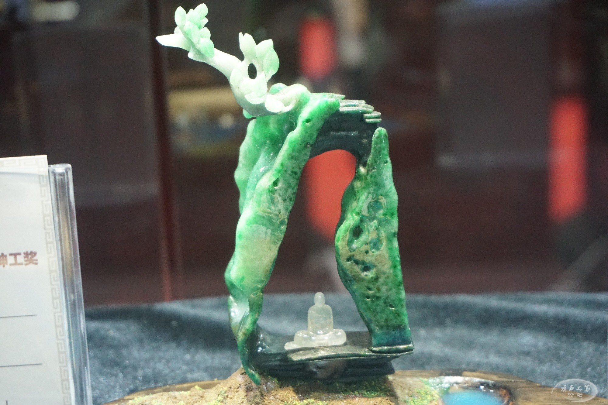 DSC02288.JPG