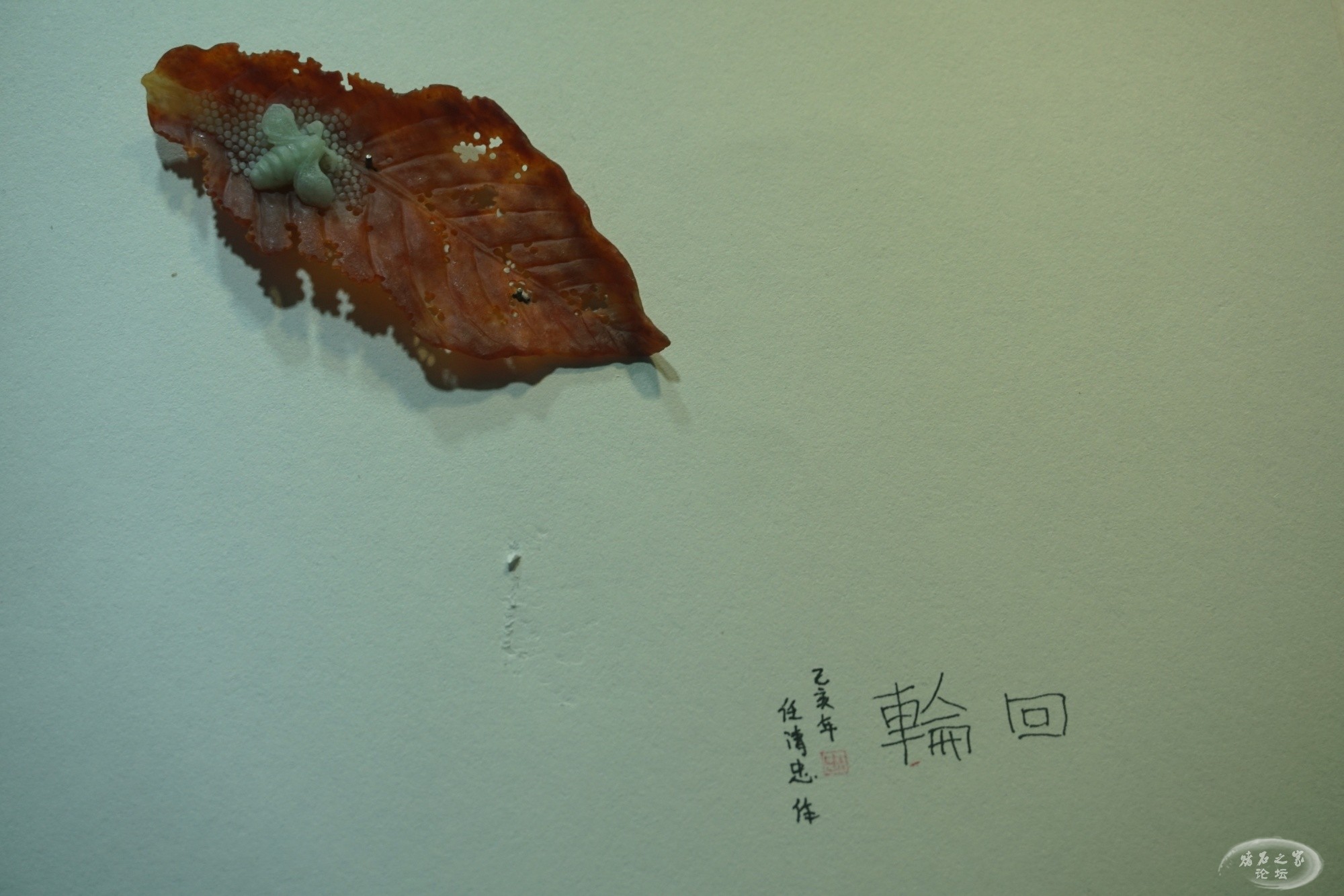 DSC02309.JPG