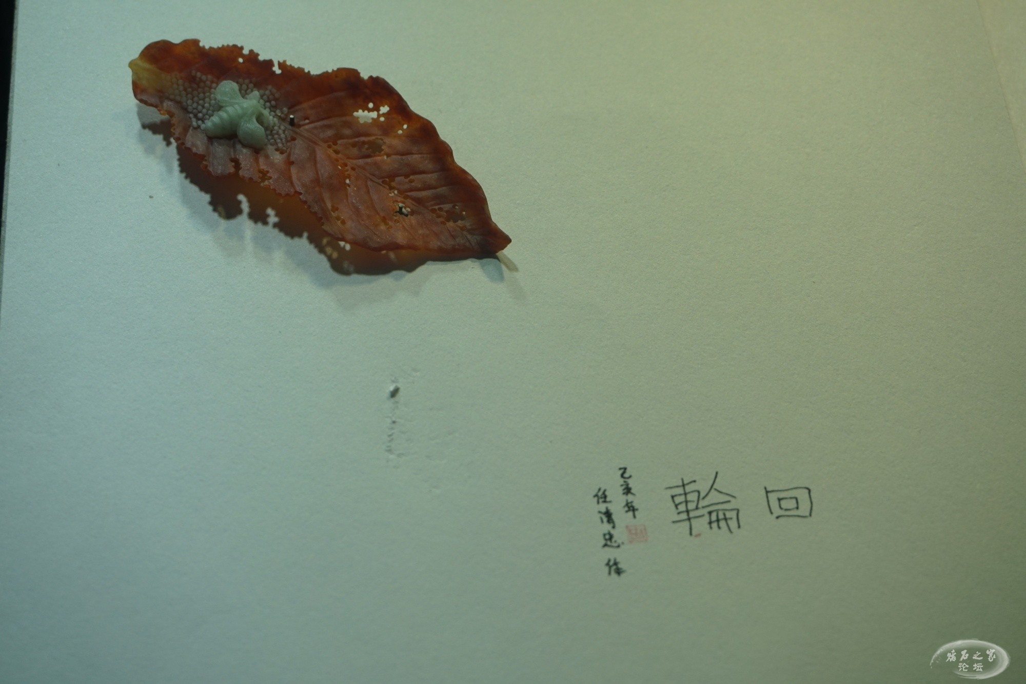 DSC02310.JPG