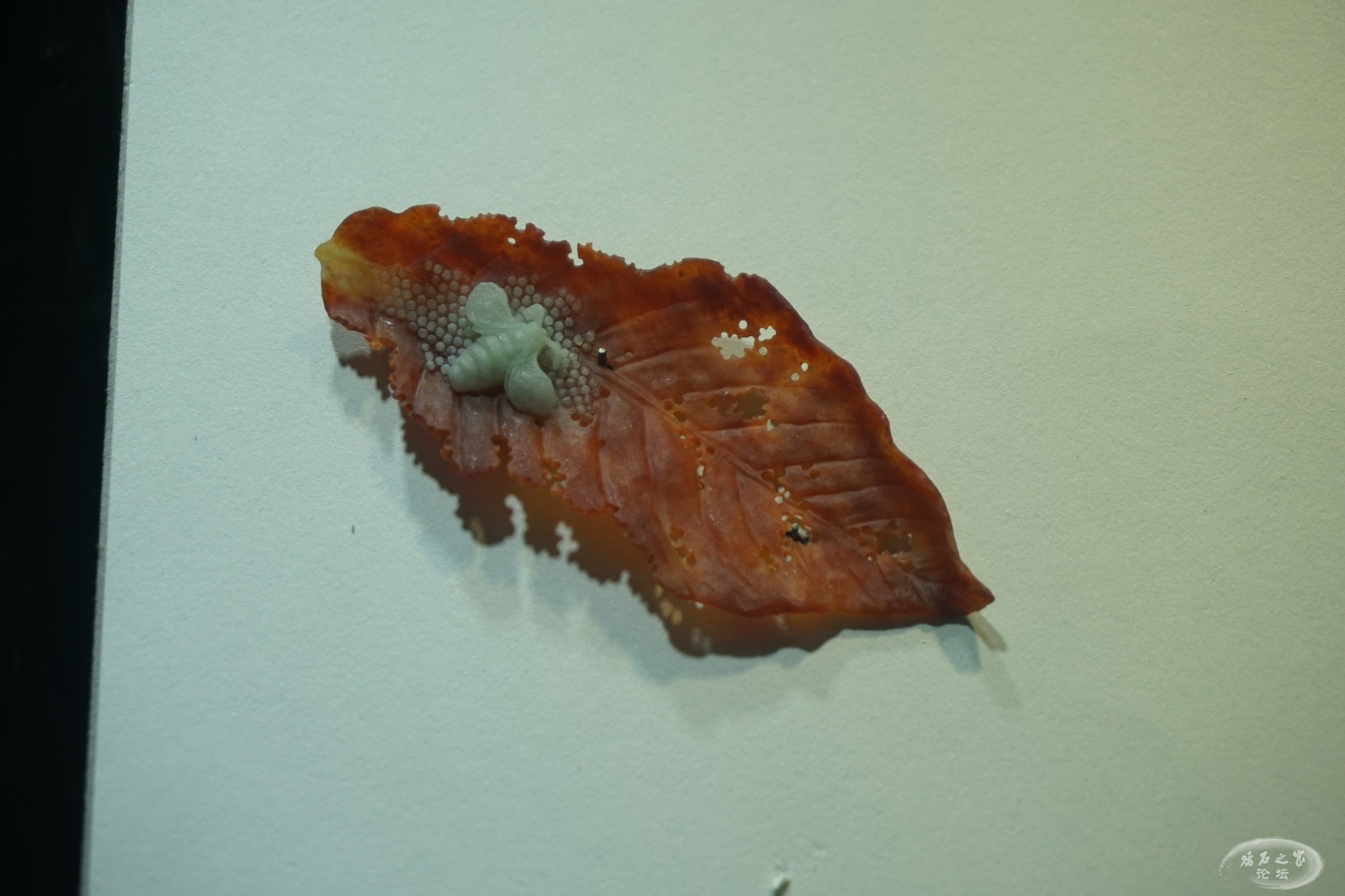 DSC02311.JPG