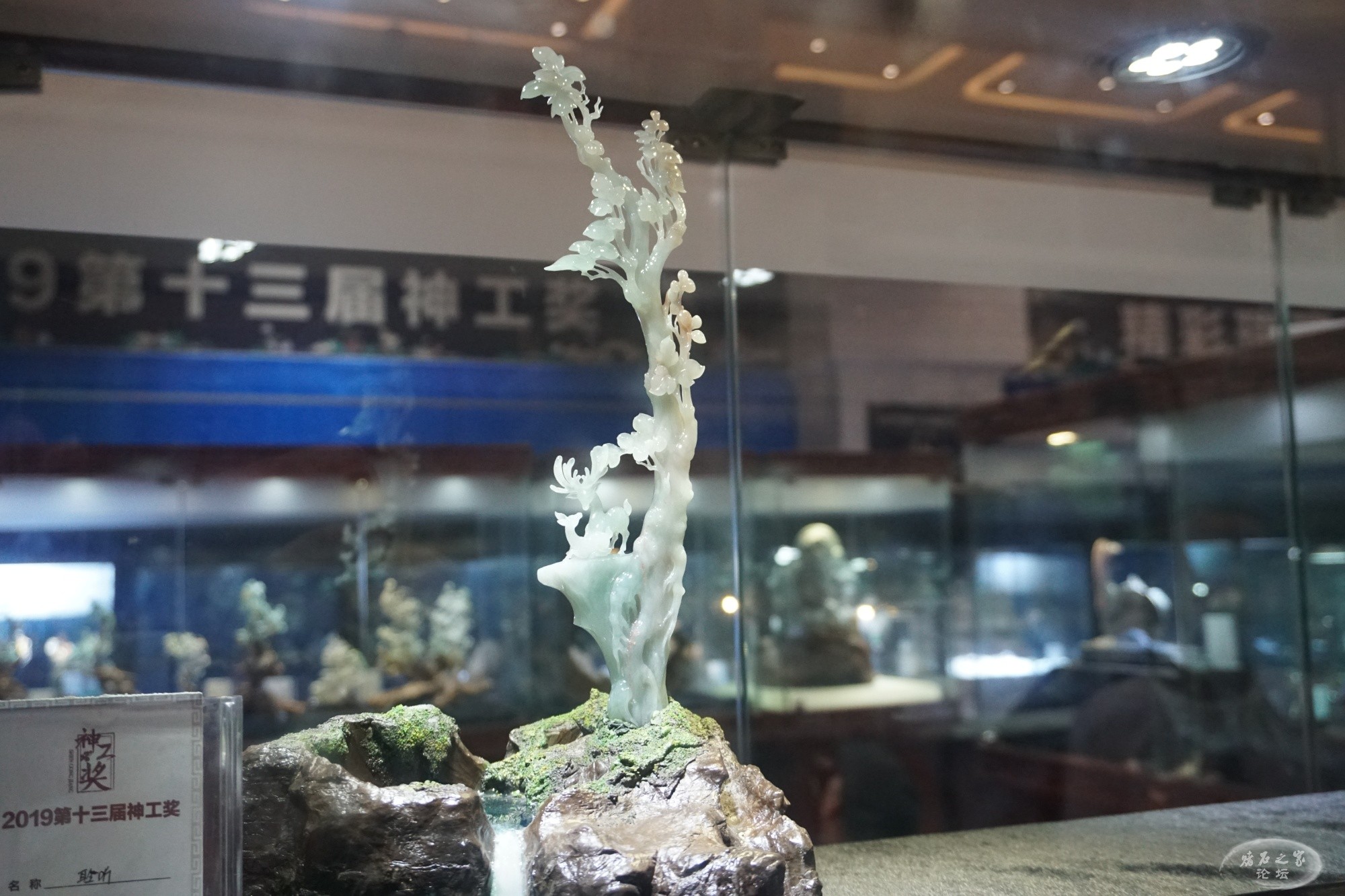 DSC02405.JPG