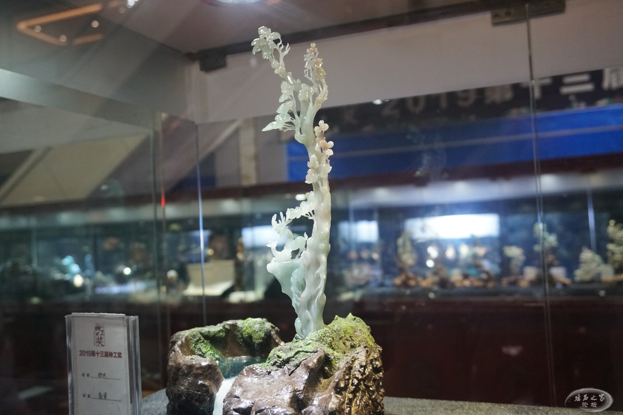 DSC02406.JPG