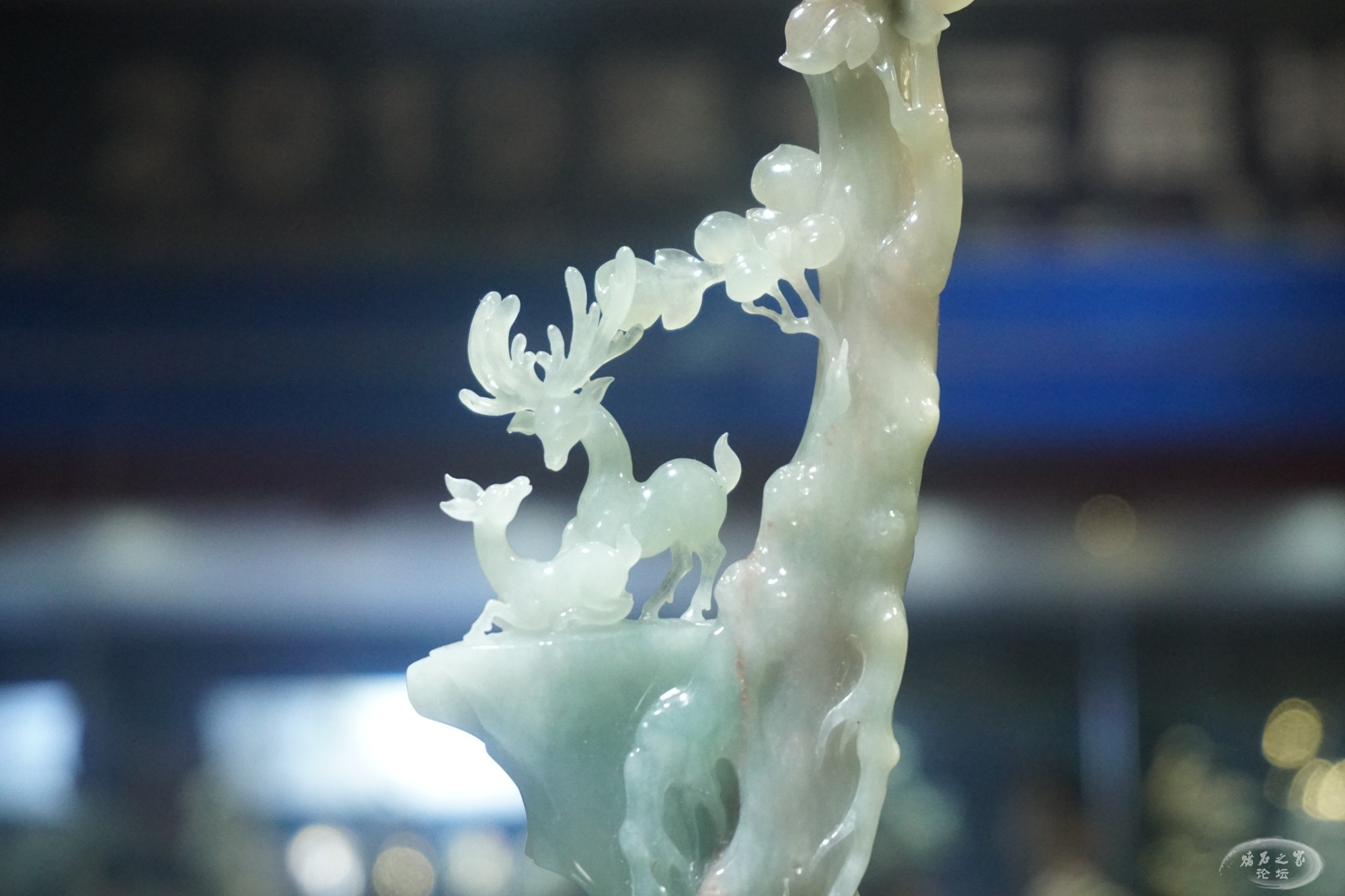 DSC02409.JPG