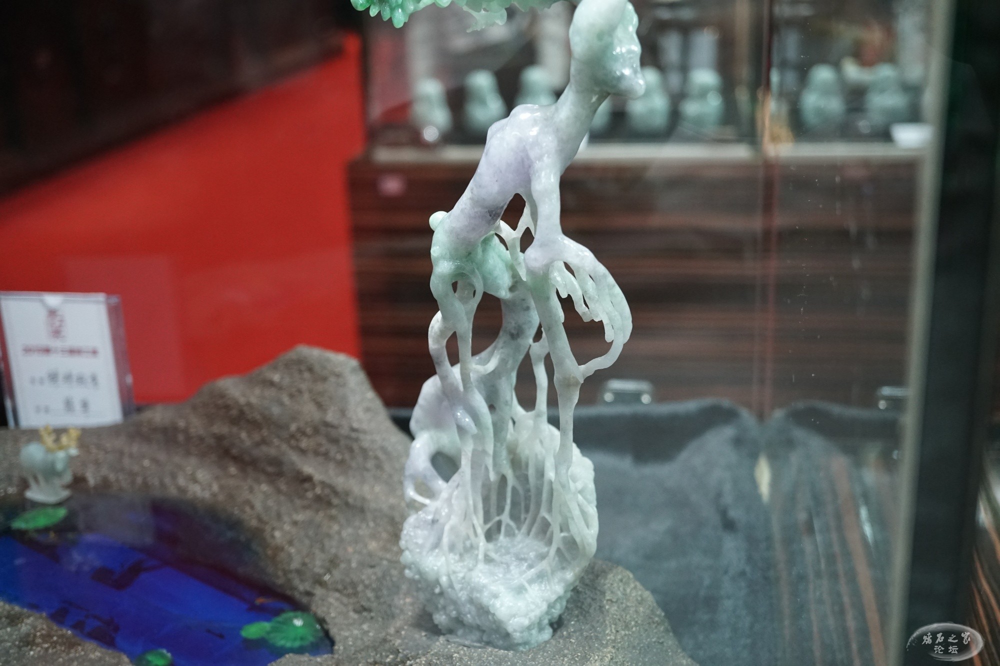 DSC02675.JPG