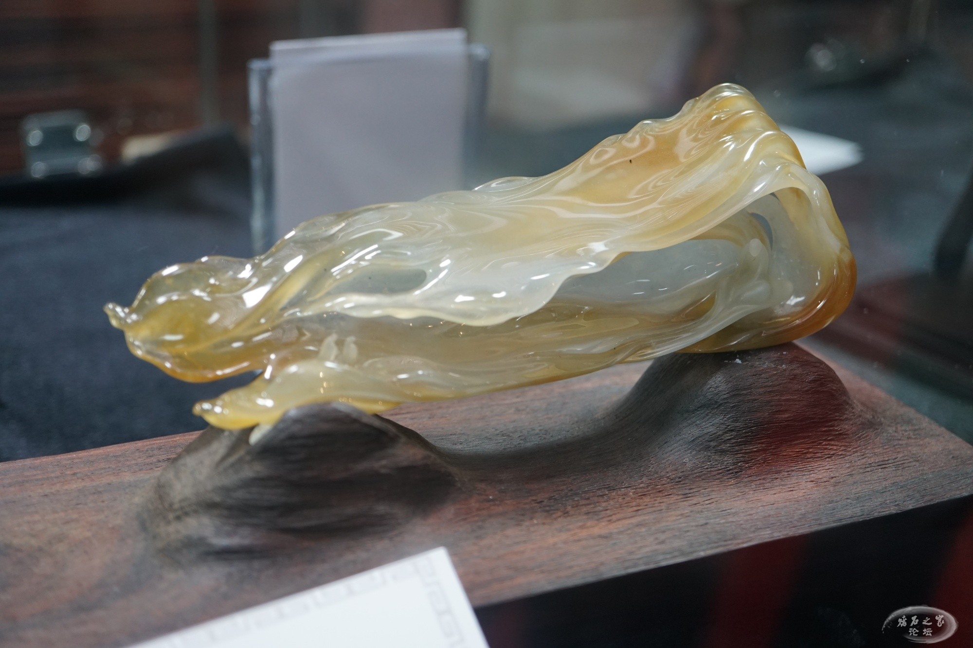 DSC02752.JPG