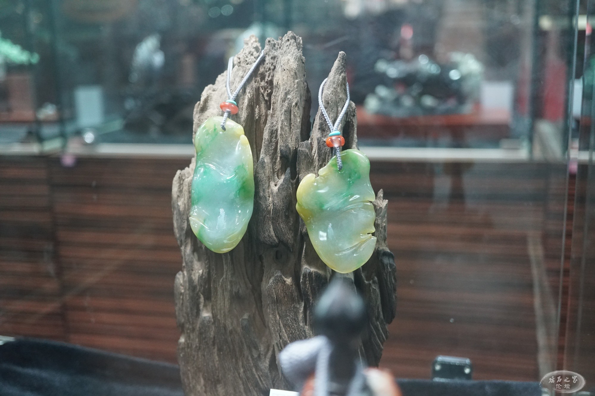 DSC02804.JPG