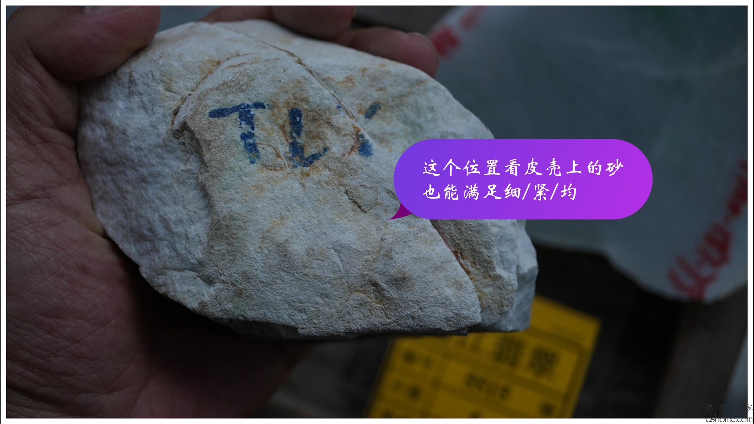 2集.00_00_13_06.Still004.jpg