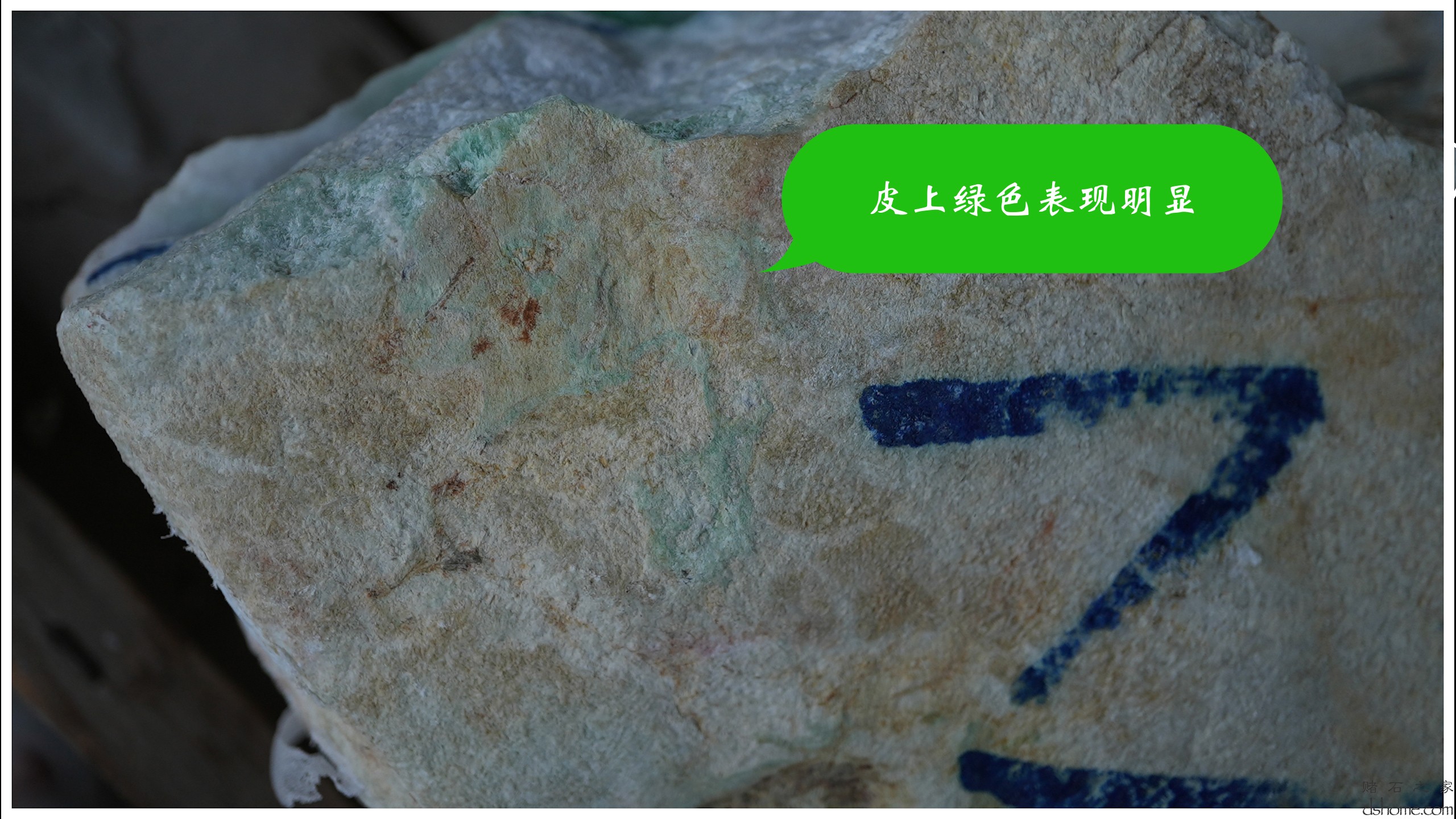 第5集.00_00_13_57.Still003.jpg