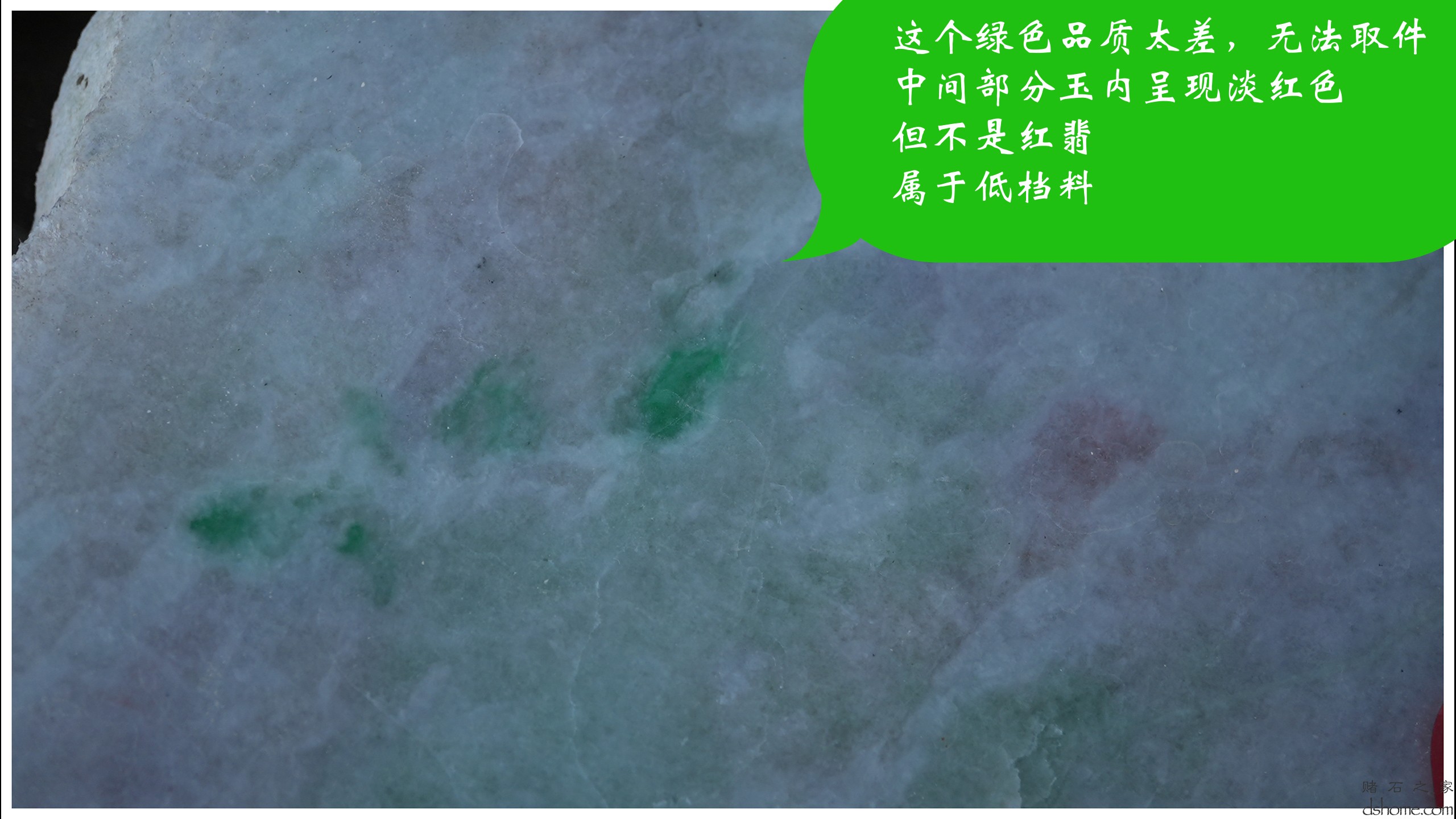 第5集.00_00_45_31.Still011.jpg