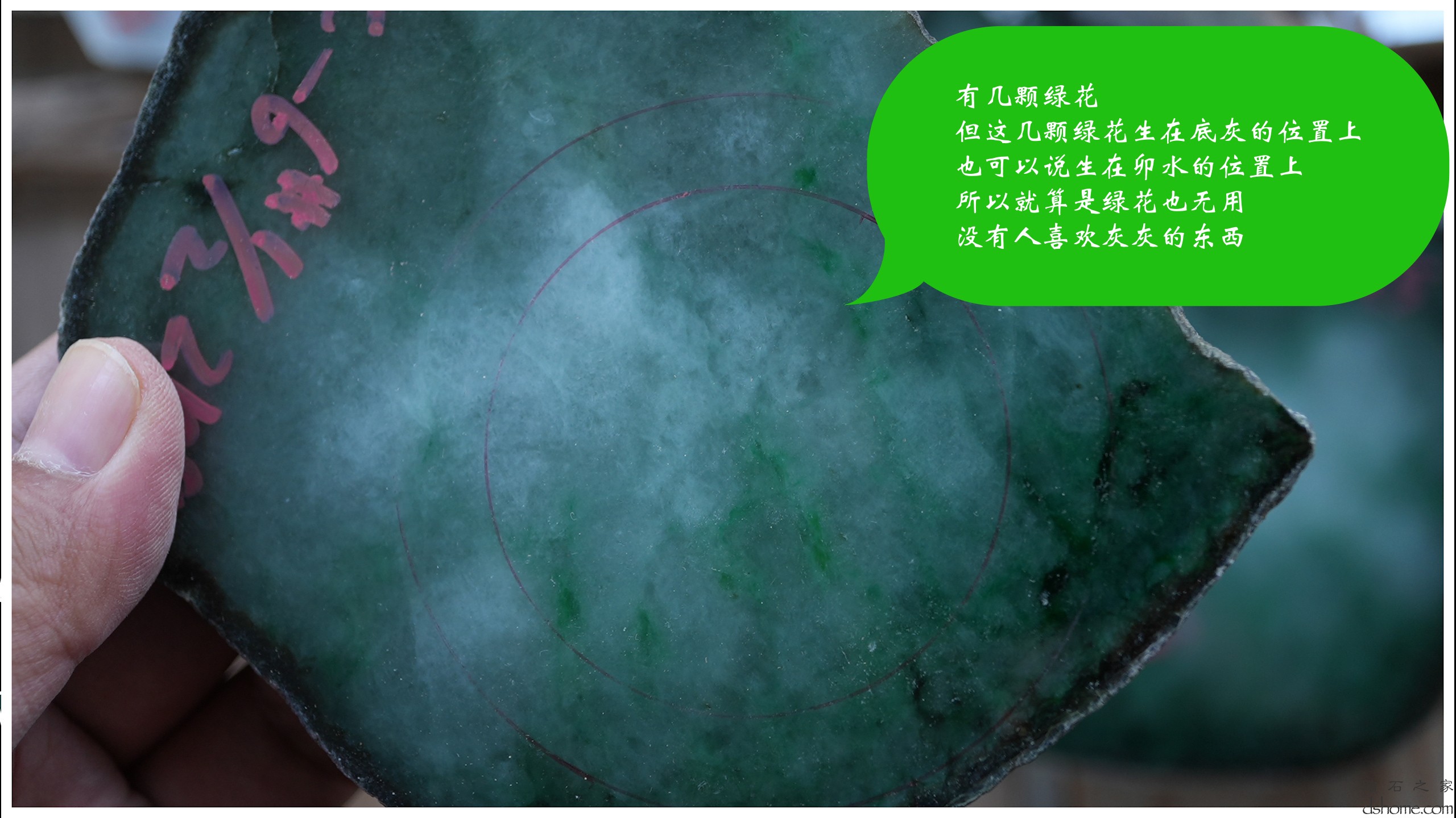 第8集.00_00_29_50.Still007.jpg