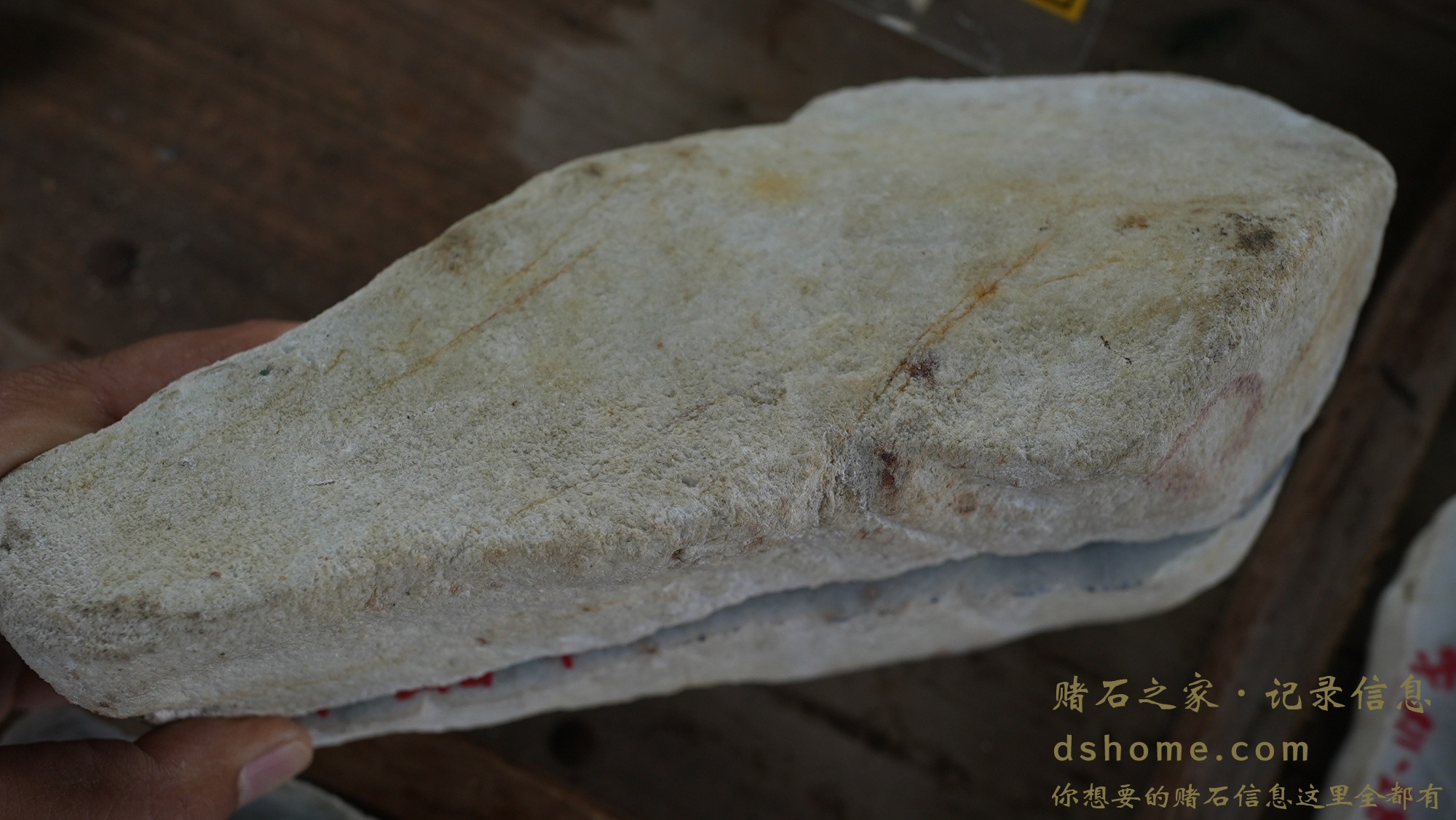 DSC00800.JPG