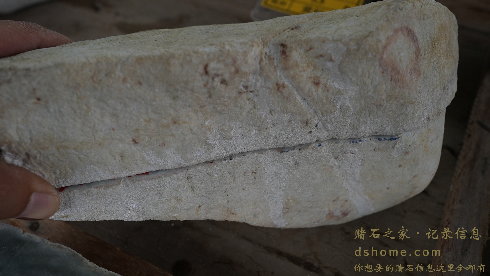 DSC00802.JPG