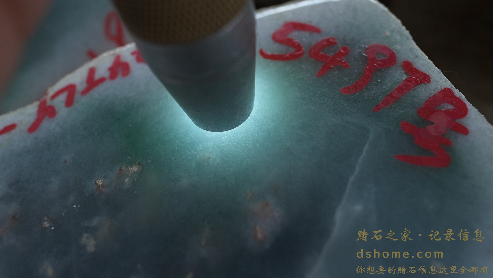 DSC00809.JPG