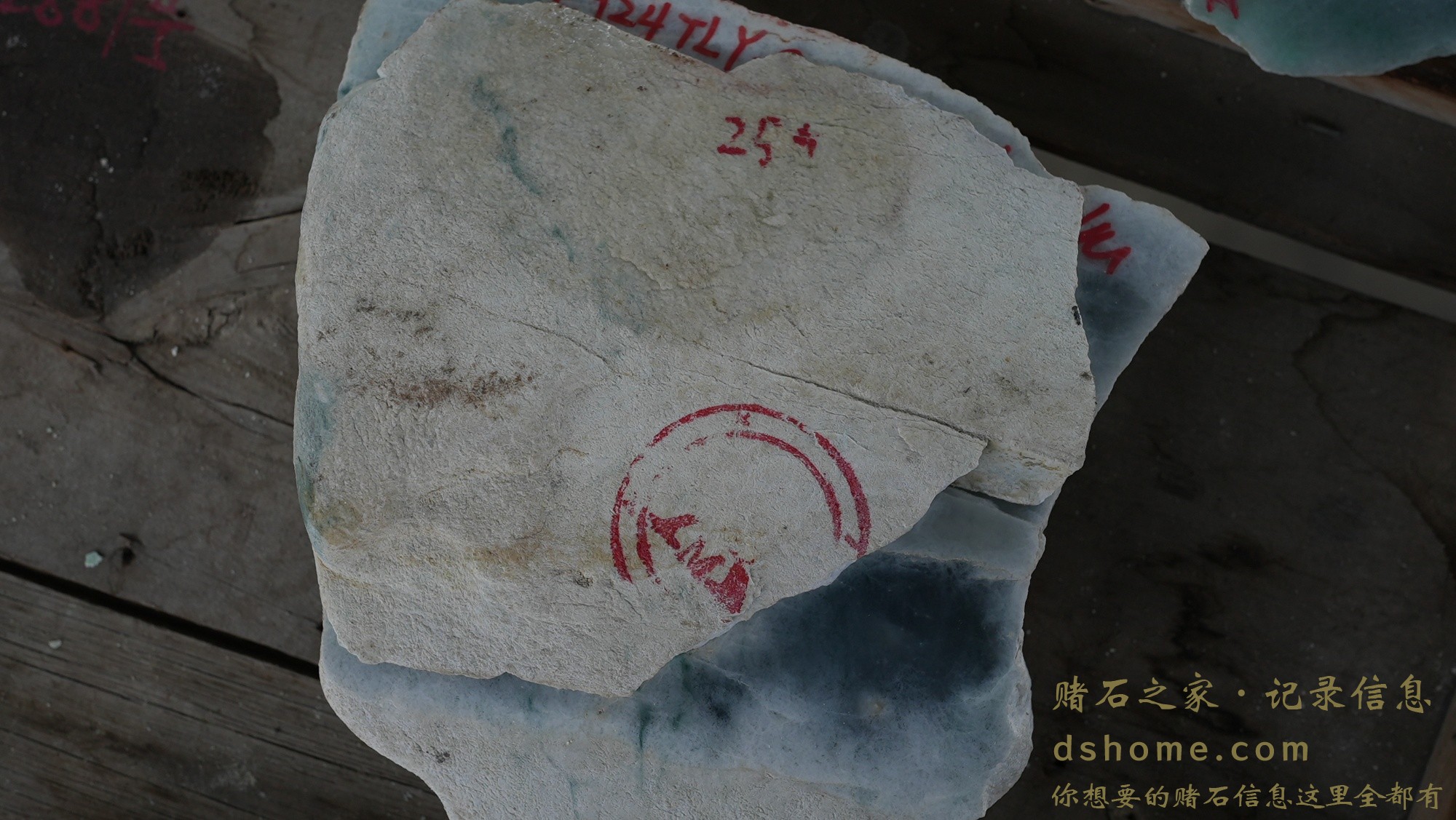 DSC00833.JPG
