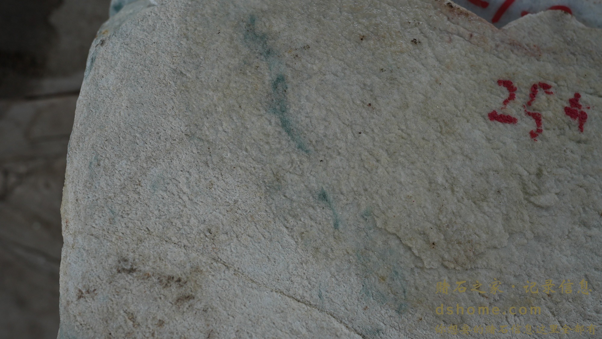 DSC00835.JPG