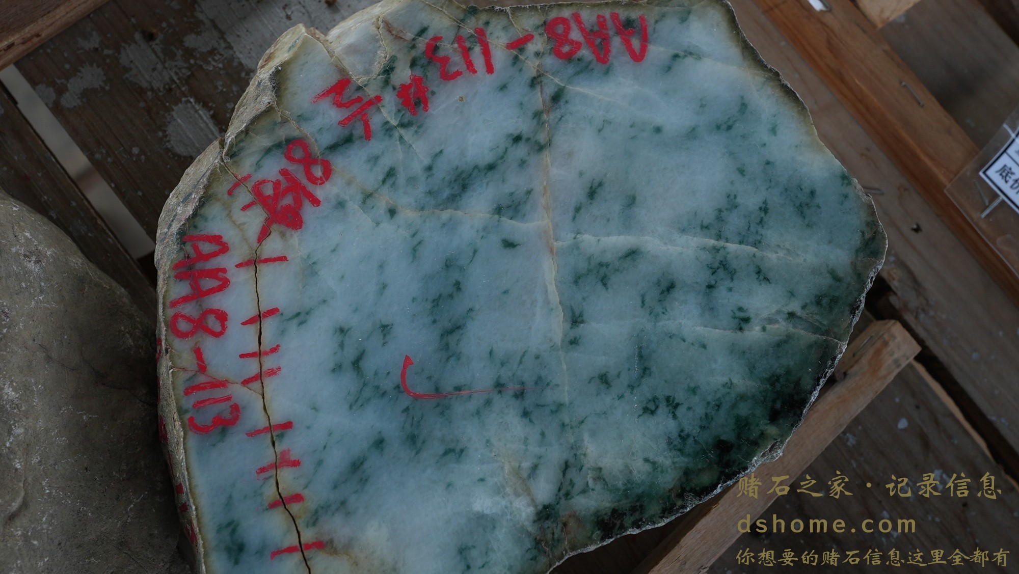 DSC00995.JPG