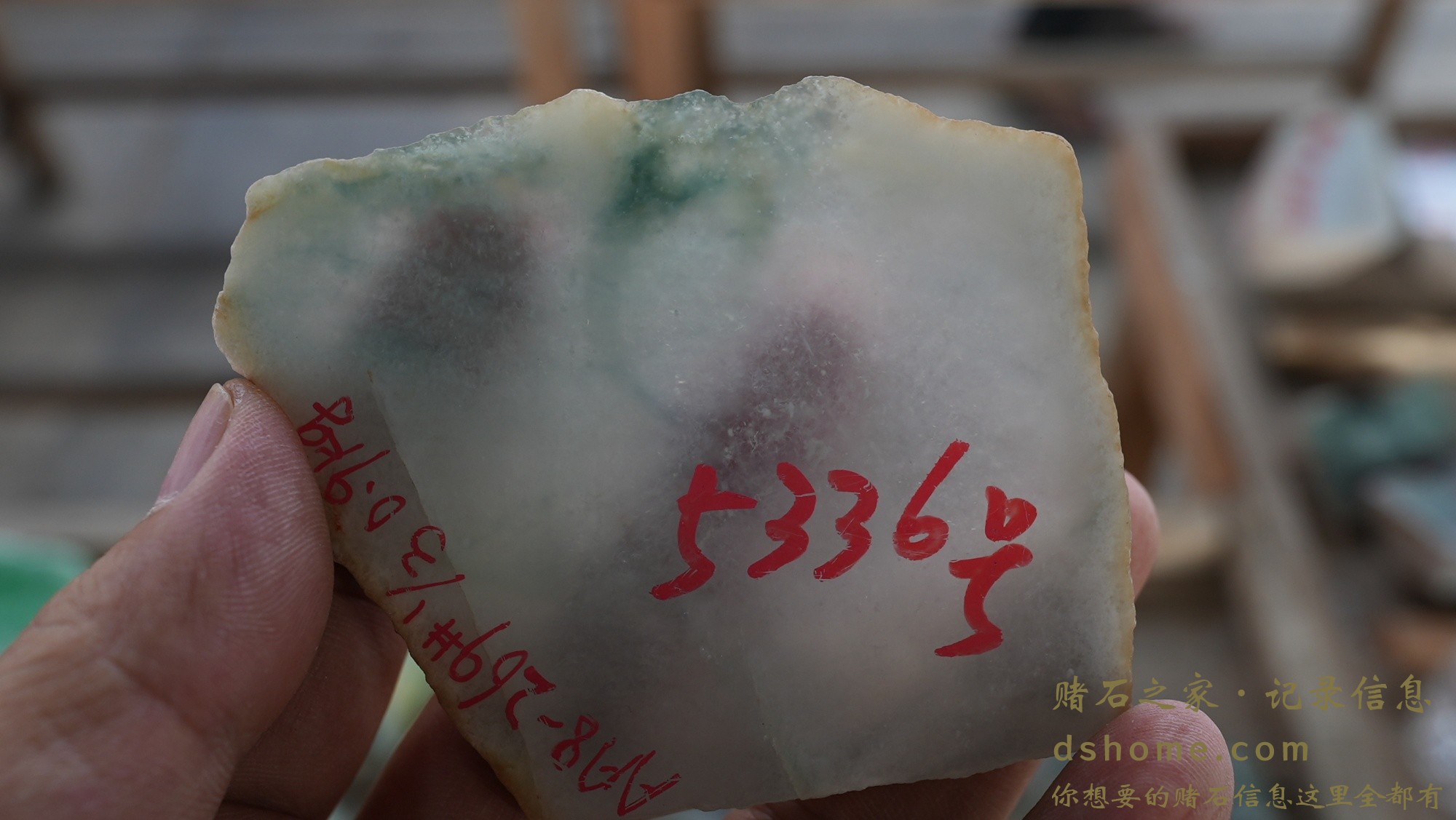 DSC01033.JPG