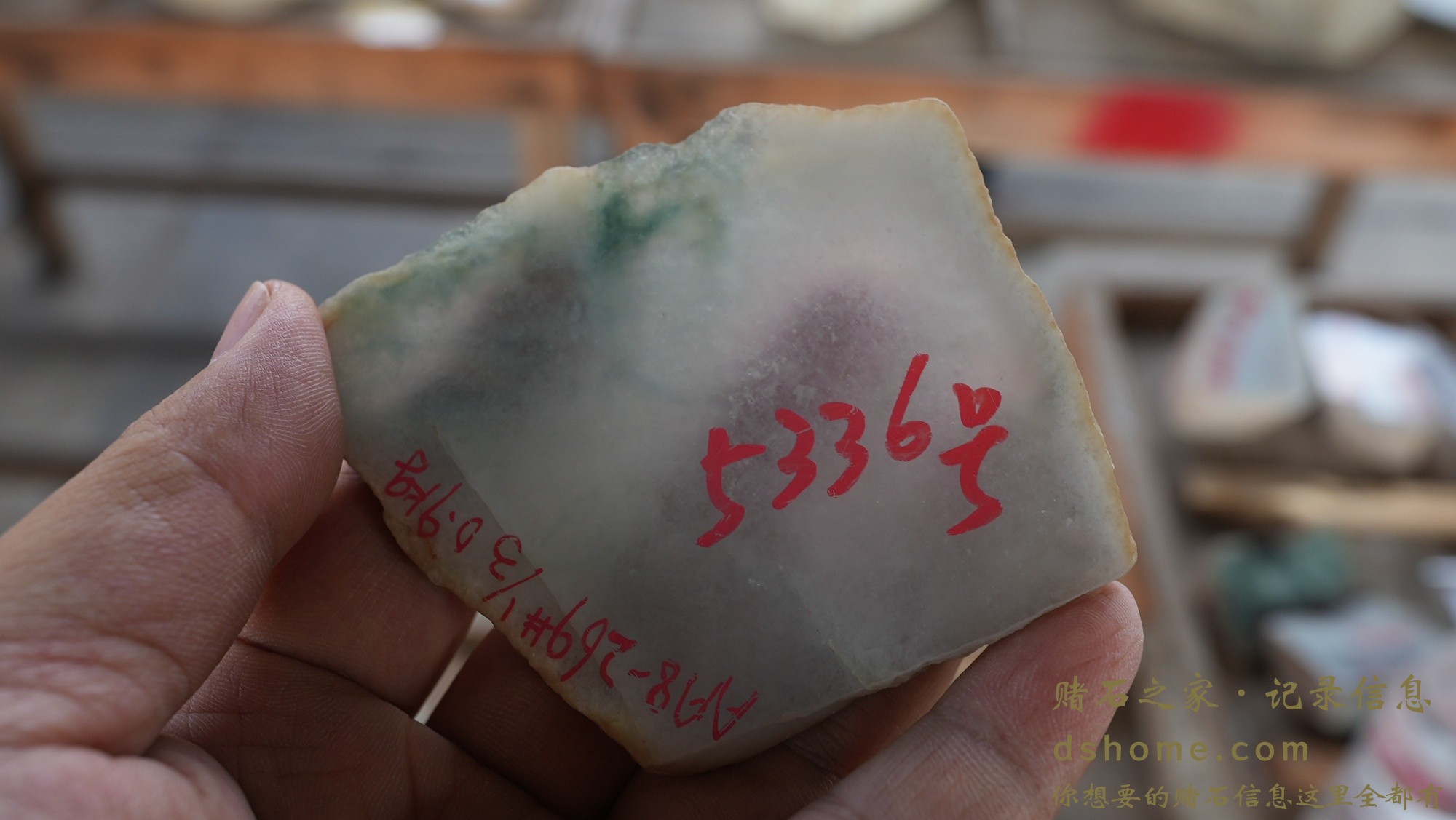 DSC01036.JPG