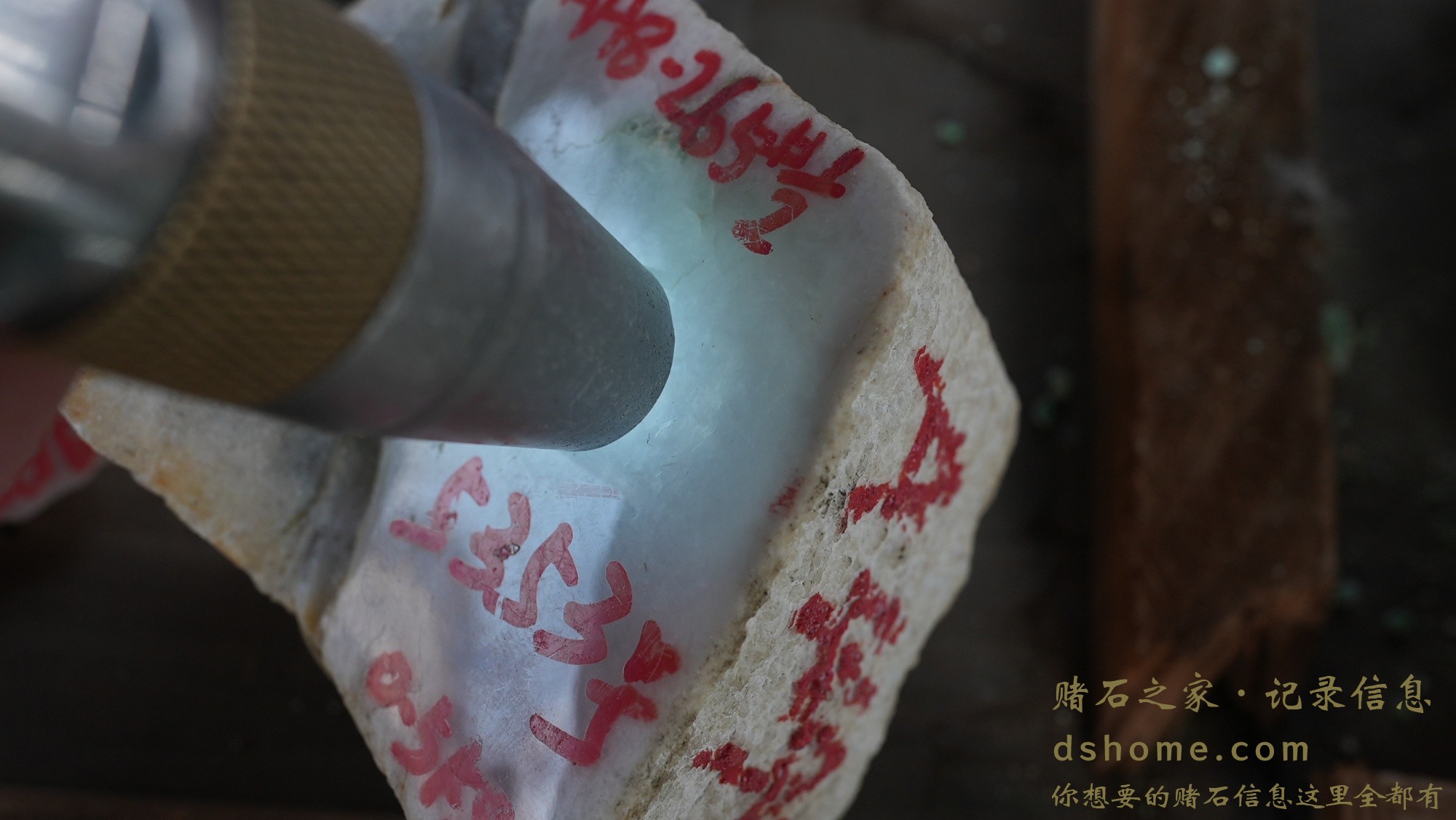 DSC01104.JPG