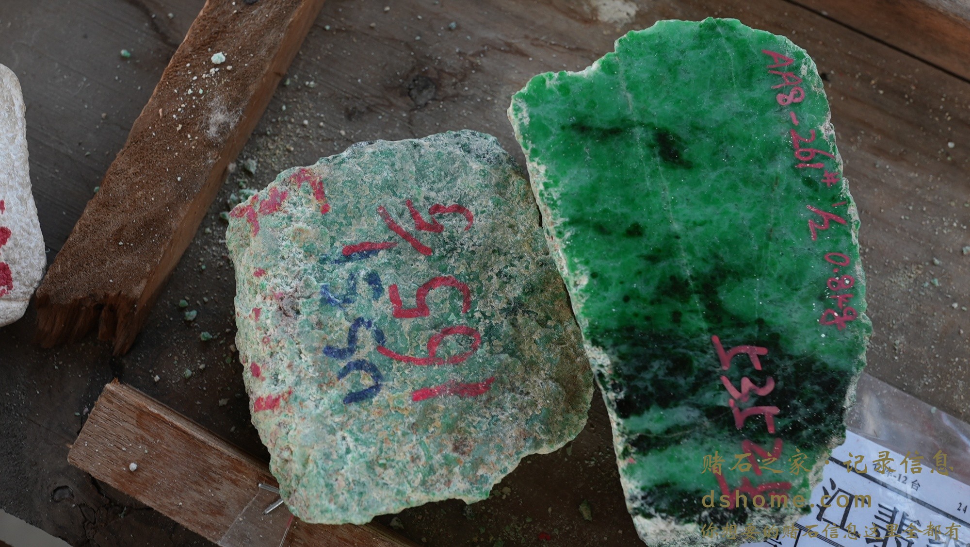 DSC01117.JPG