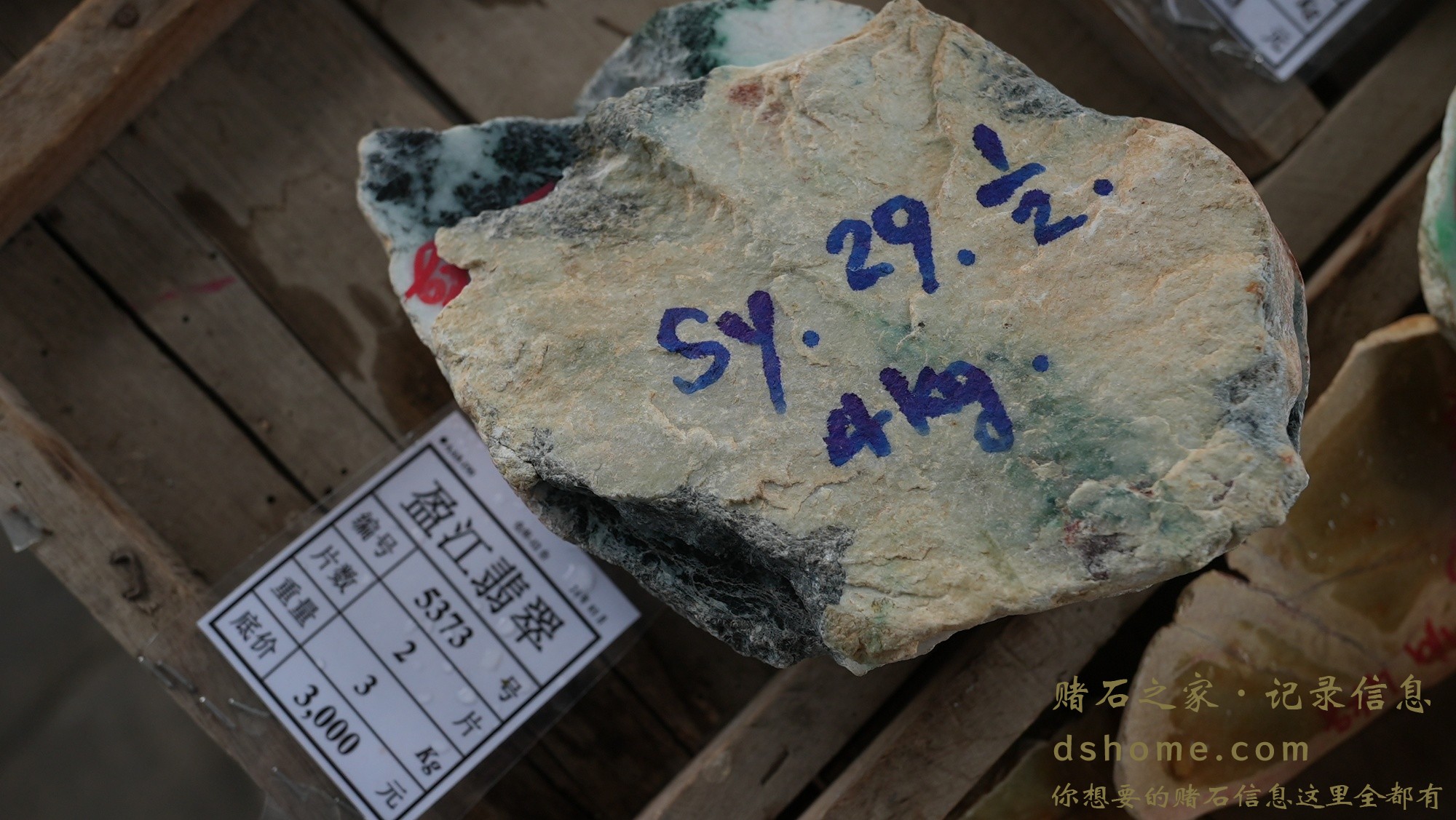DSC01355.JPG