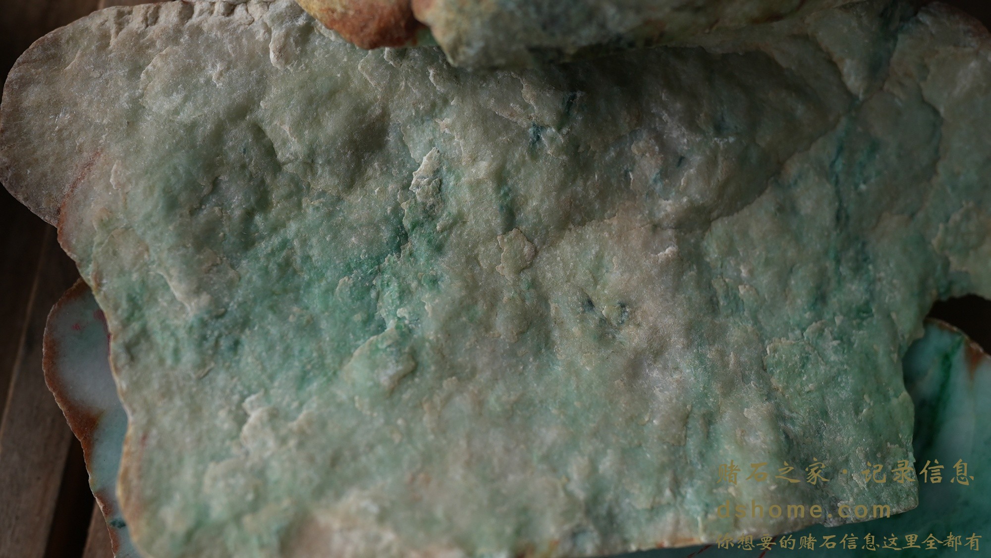 DSC01447.JPG