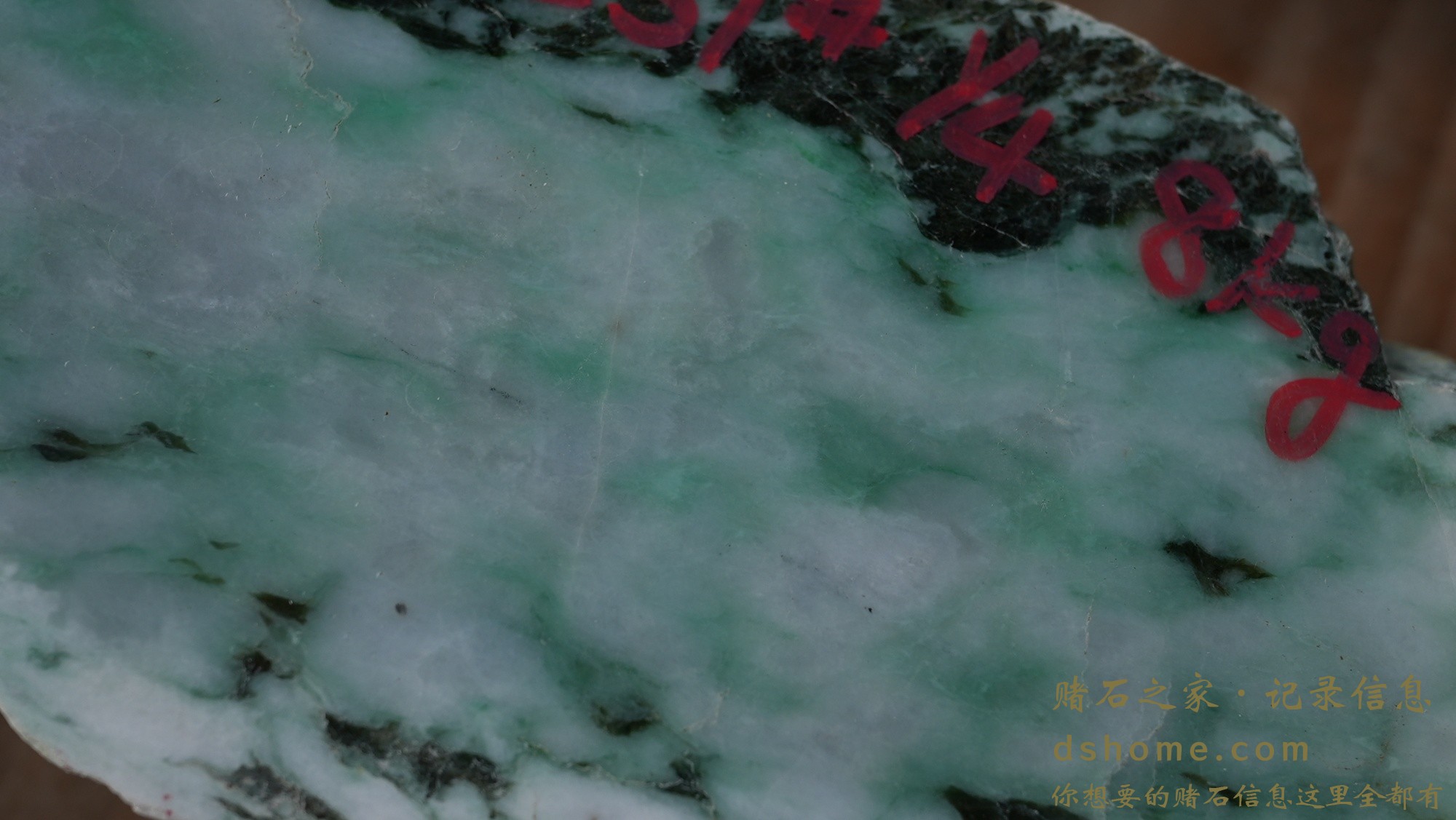 DSC01507.JPG