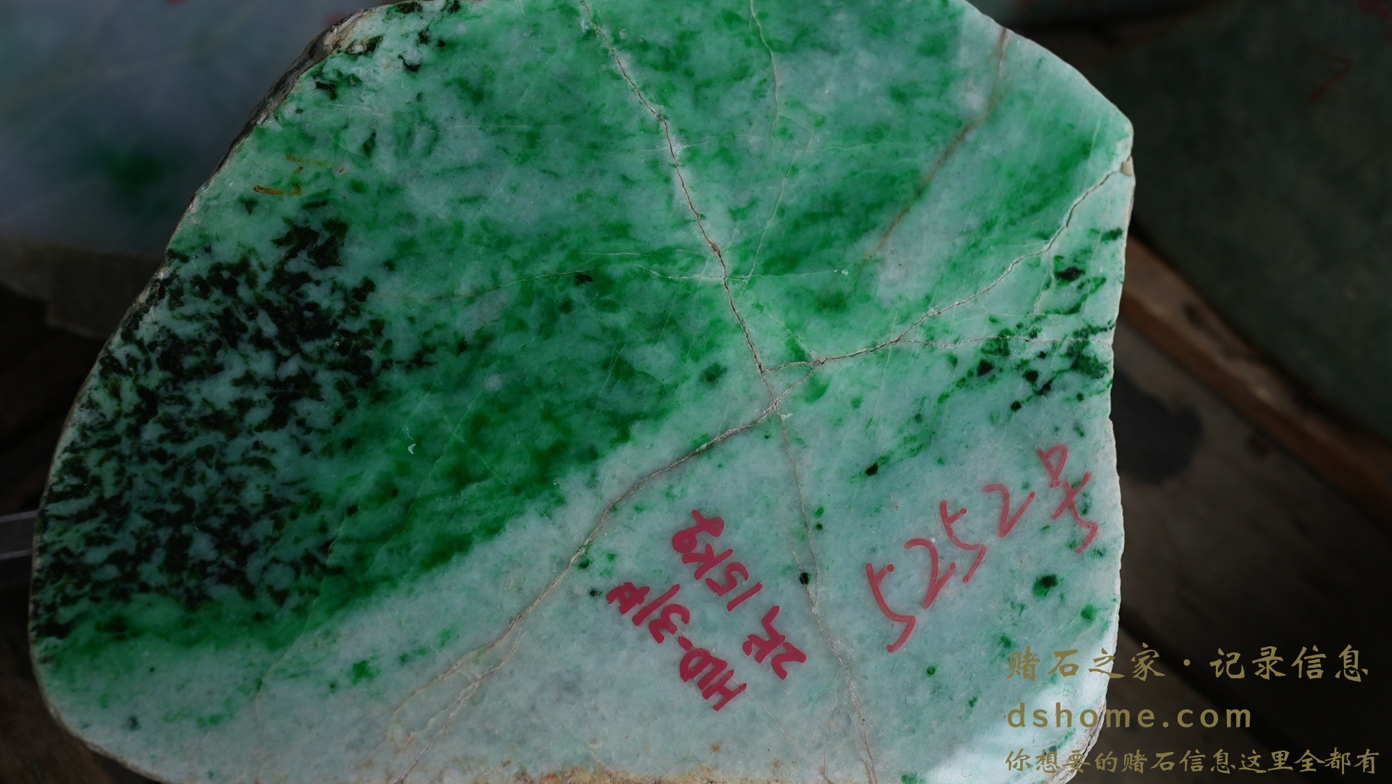 DSC01604.JPG