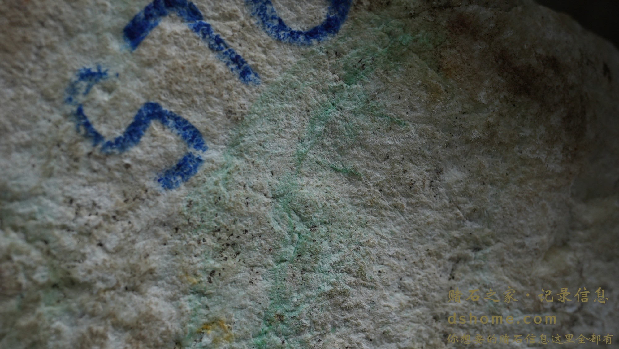 DSC01674.JPG