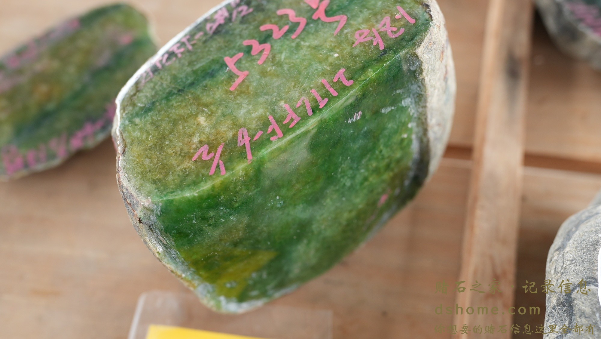 DSC01732.JPG