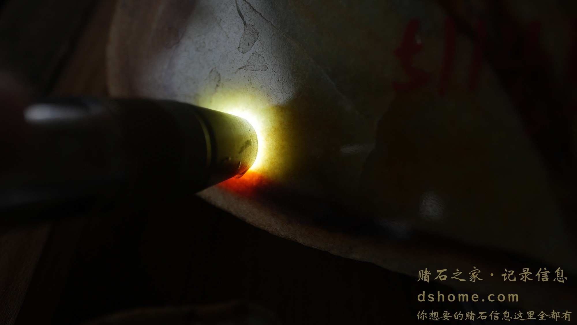DSC01746.JPG