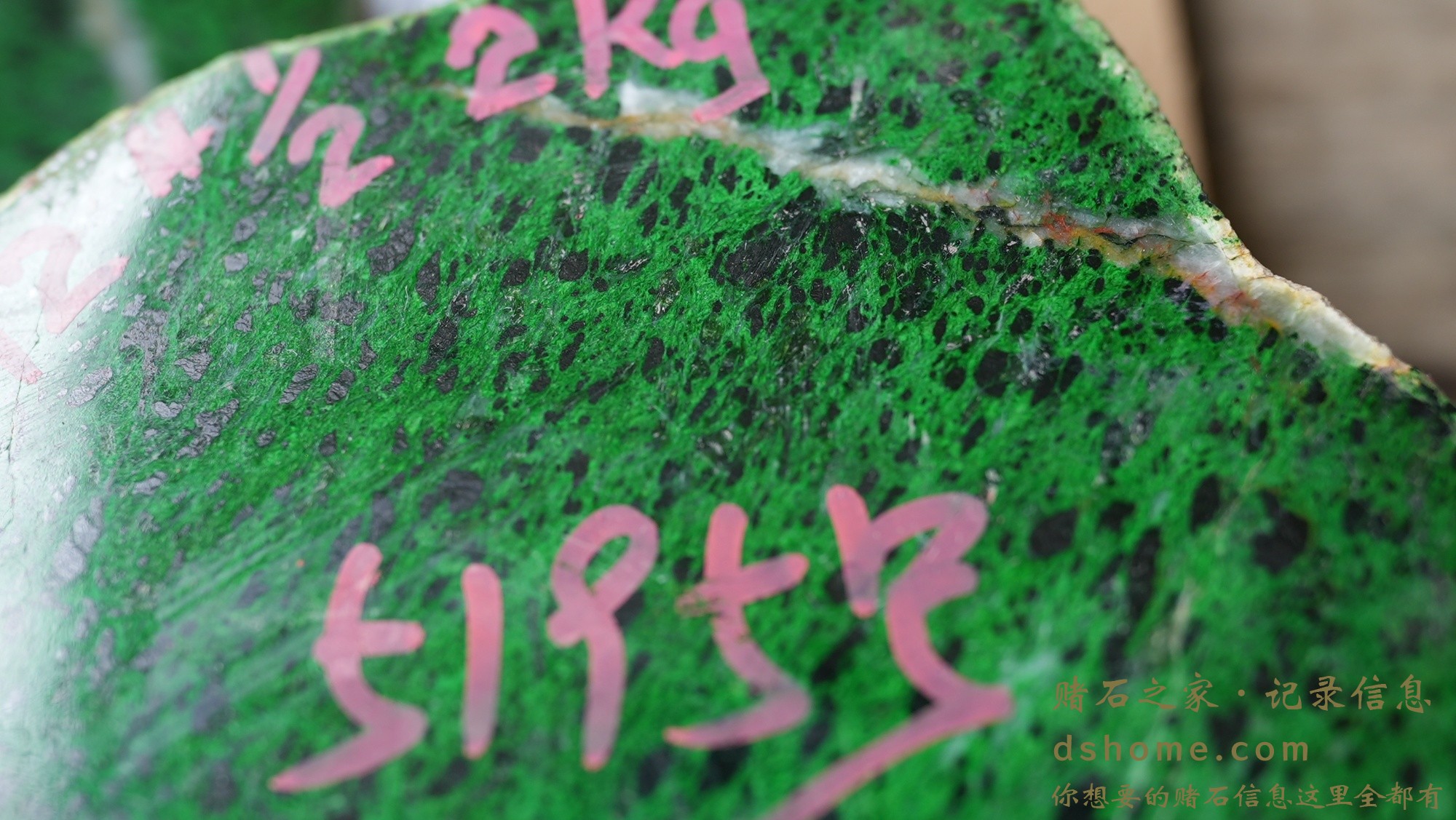 DSC01874.JPG