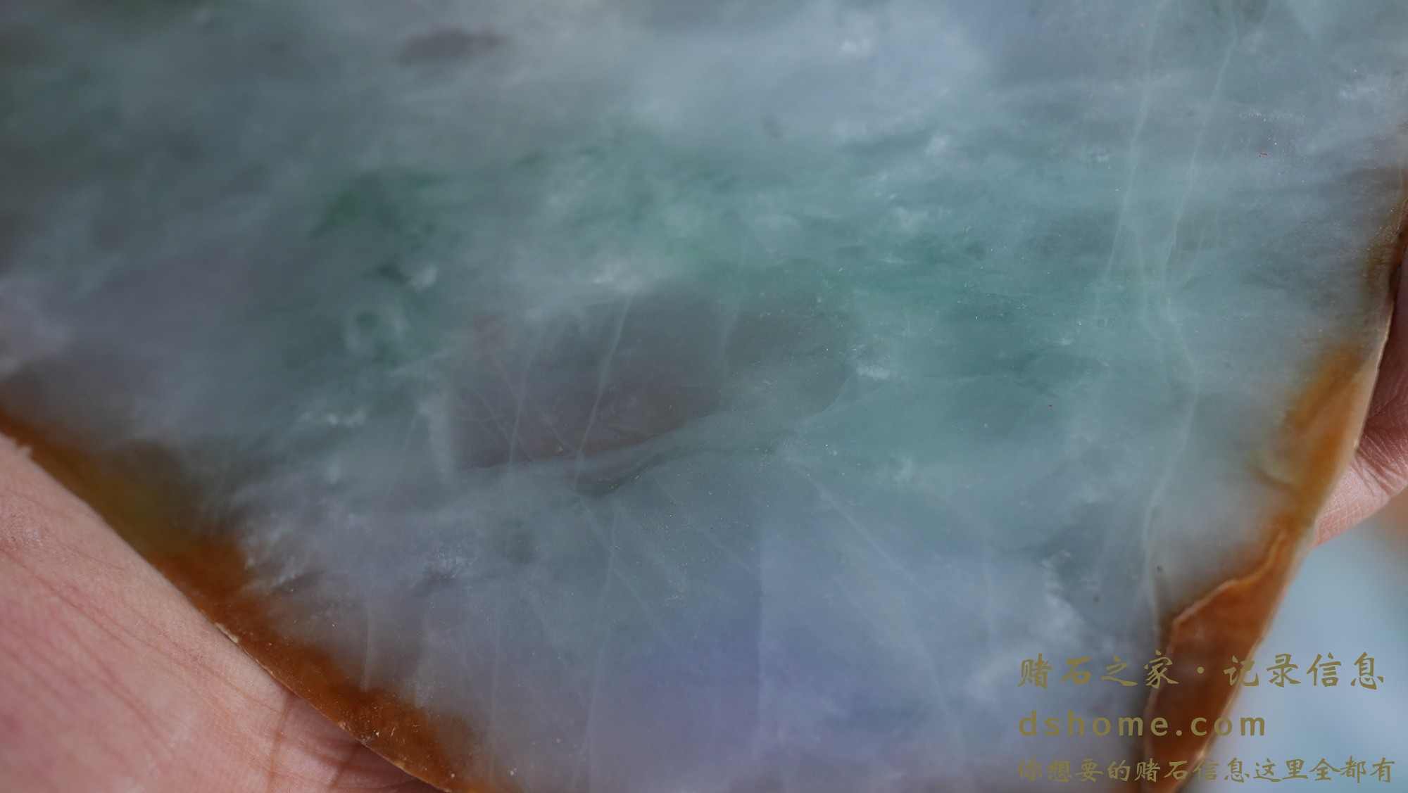 DSC02015.JPG