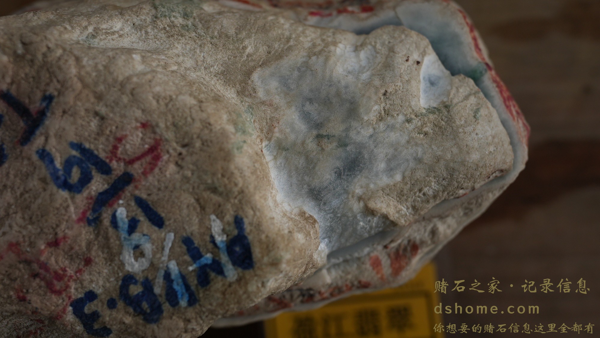 DSC02064.JPG