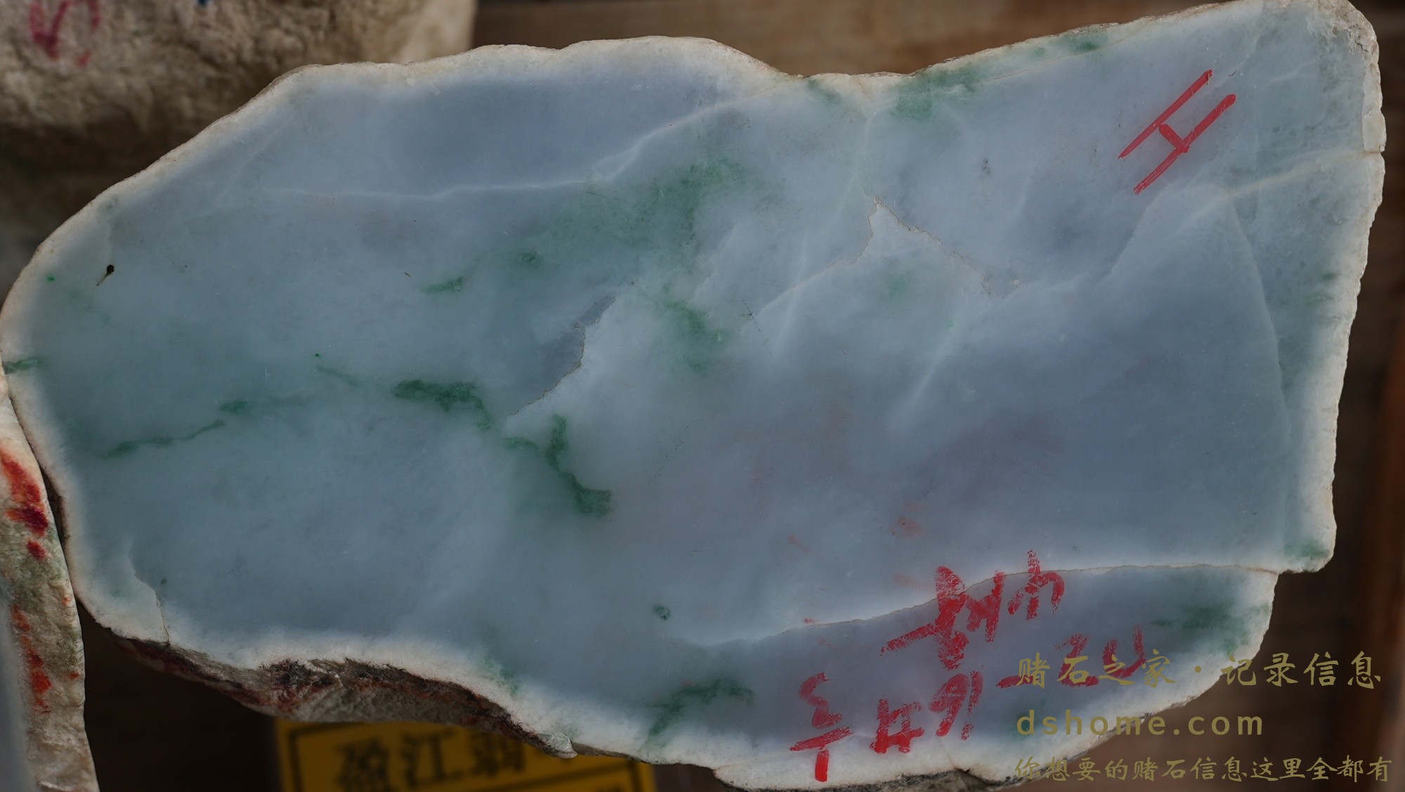 DSC02073.JPG