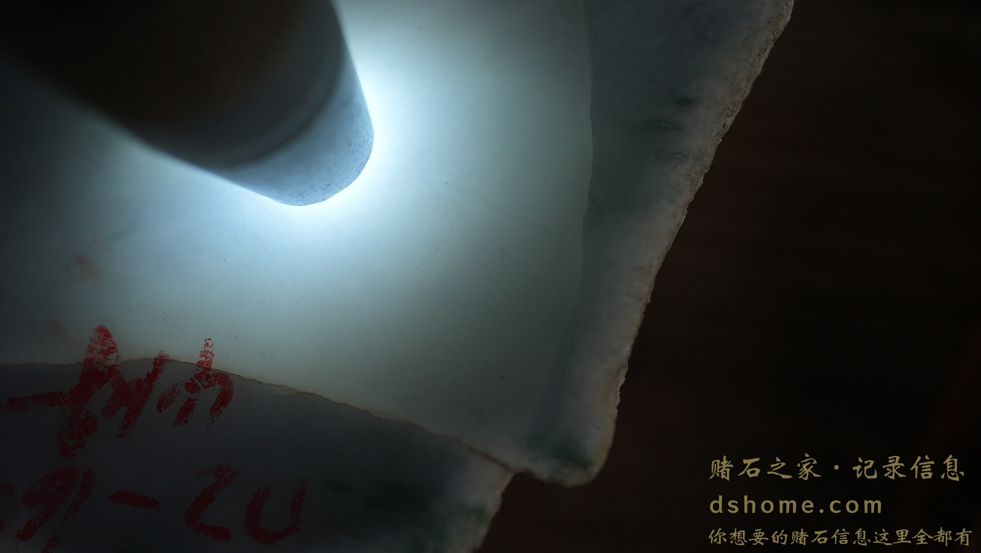 DSC02079.JPG