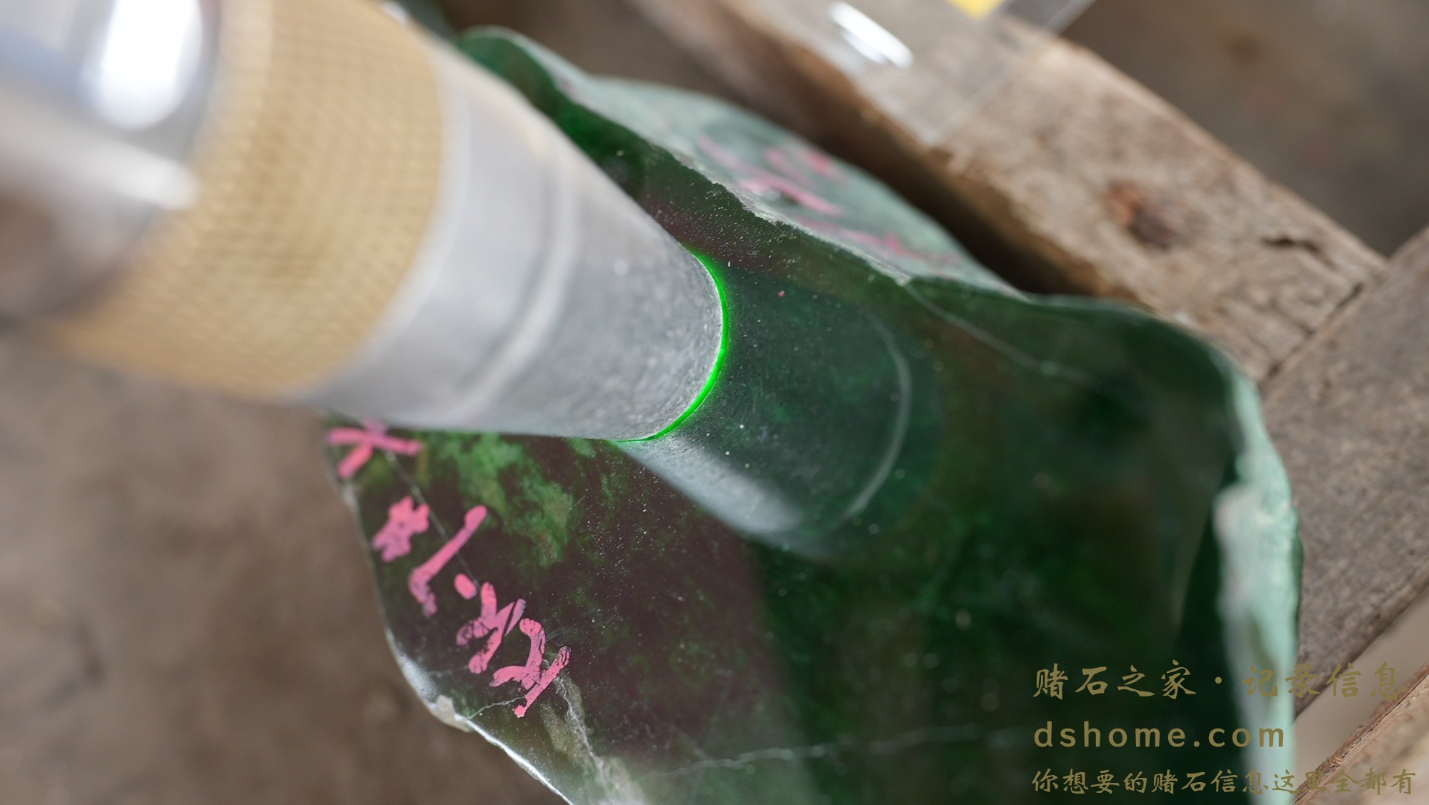 DSC02256.JPG