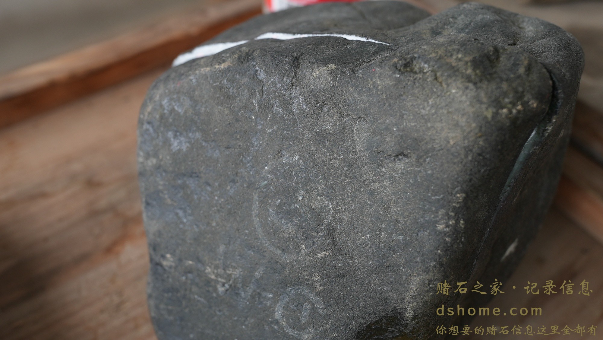 DSC02342.JPG